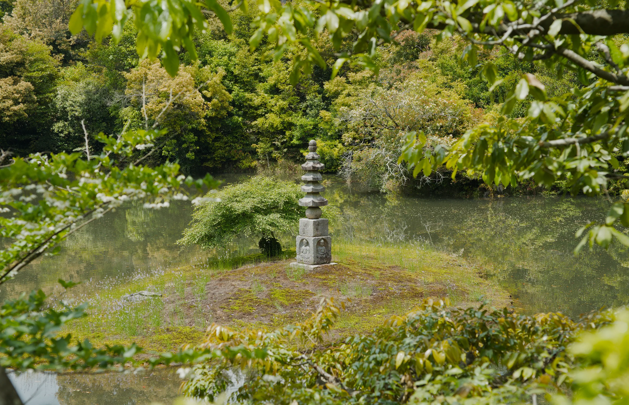 A garden stream lined with stones flows through green woodland.