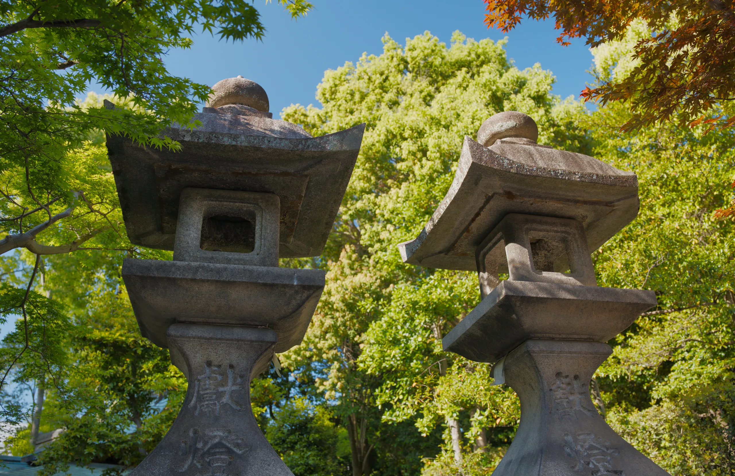 Two stone lanterns surrounded by green foliage in a temple garden.