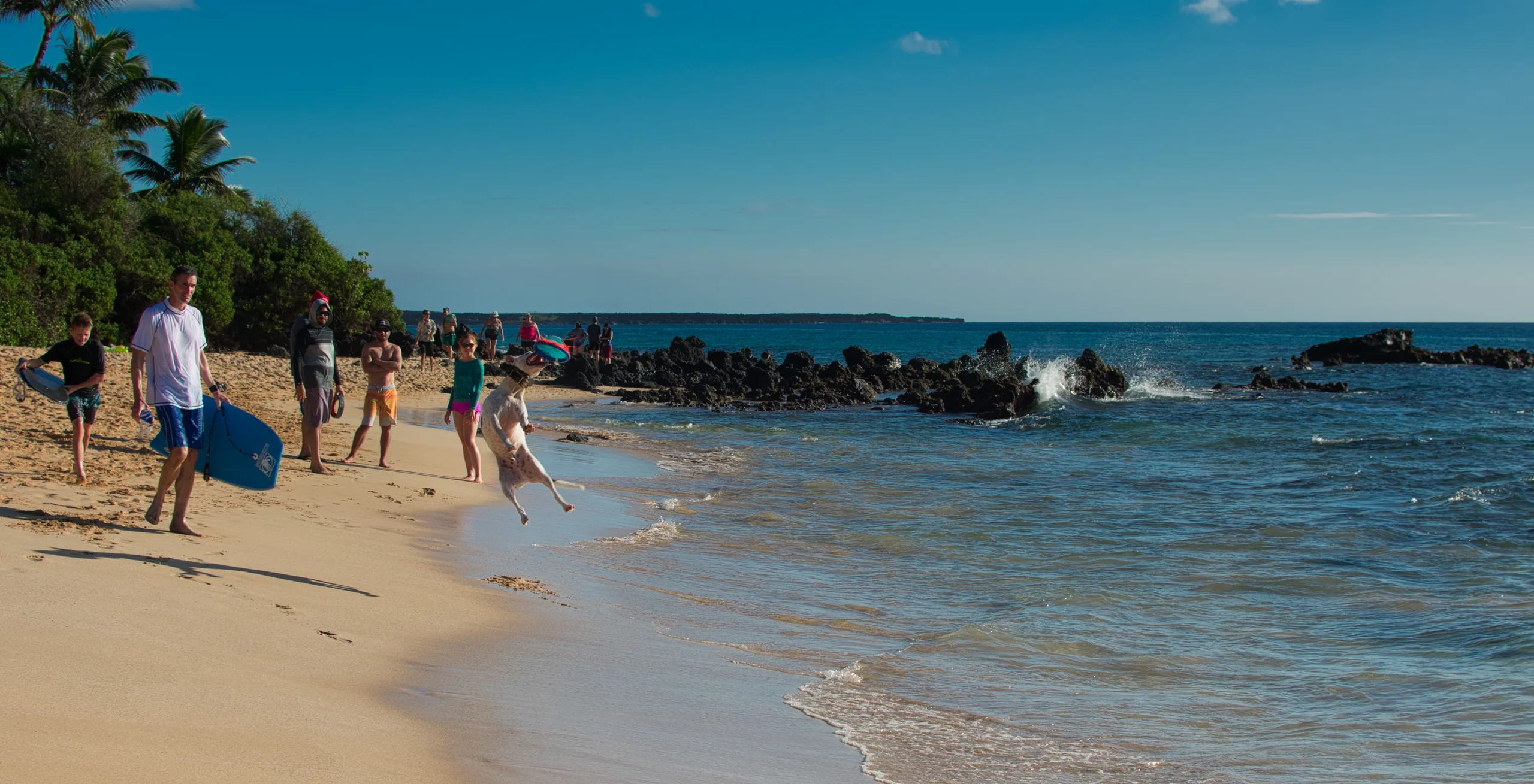 People walking and carrying bodyboards along a sunlit beach, small waves breaking over lava rock offshore.