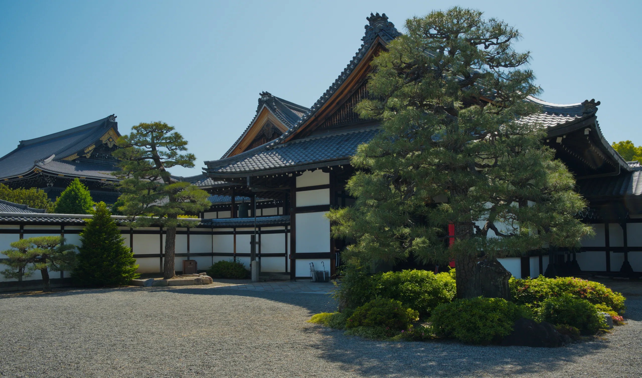 Japanese temple with white walls and dark roof set within a landscaped garden with shrubs and trees.