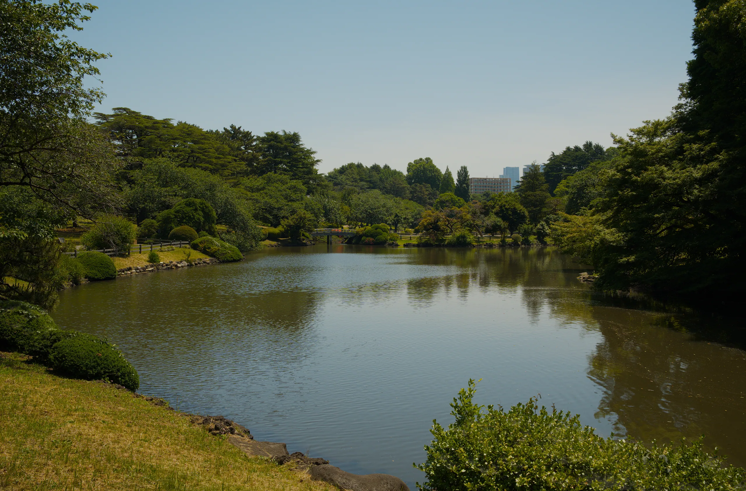 A calm river reflects overhanging trees lining both banks under clear sky.