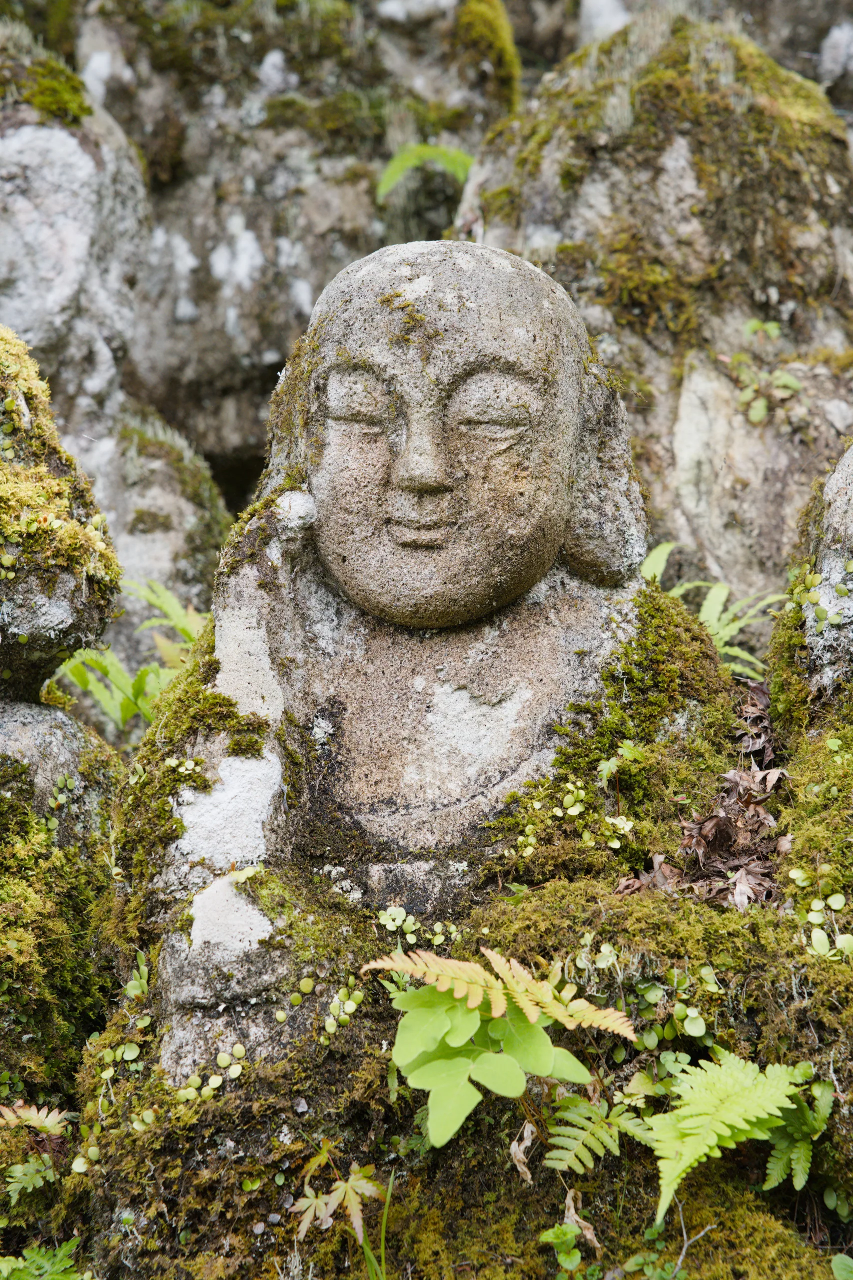 A weathered stone head with closed eyes sits moss-covered among rocks and foliage.