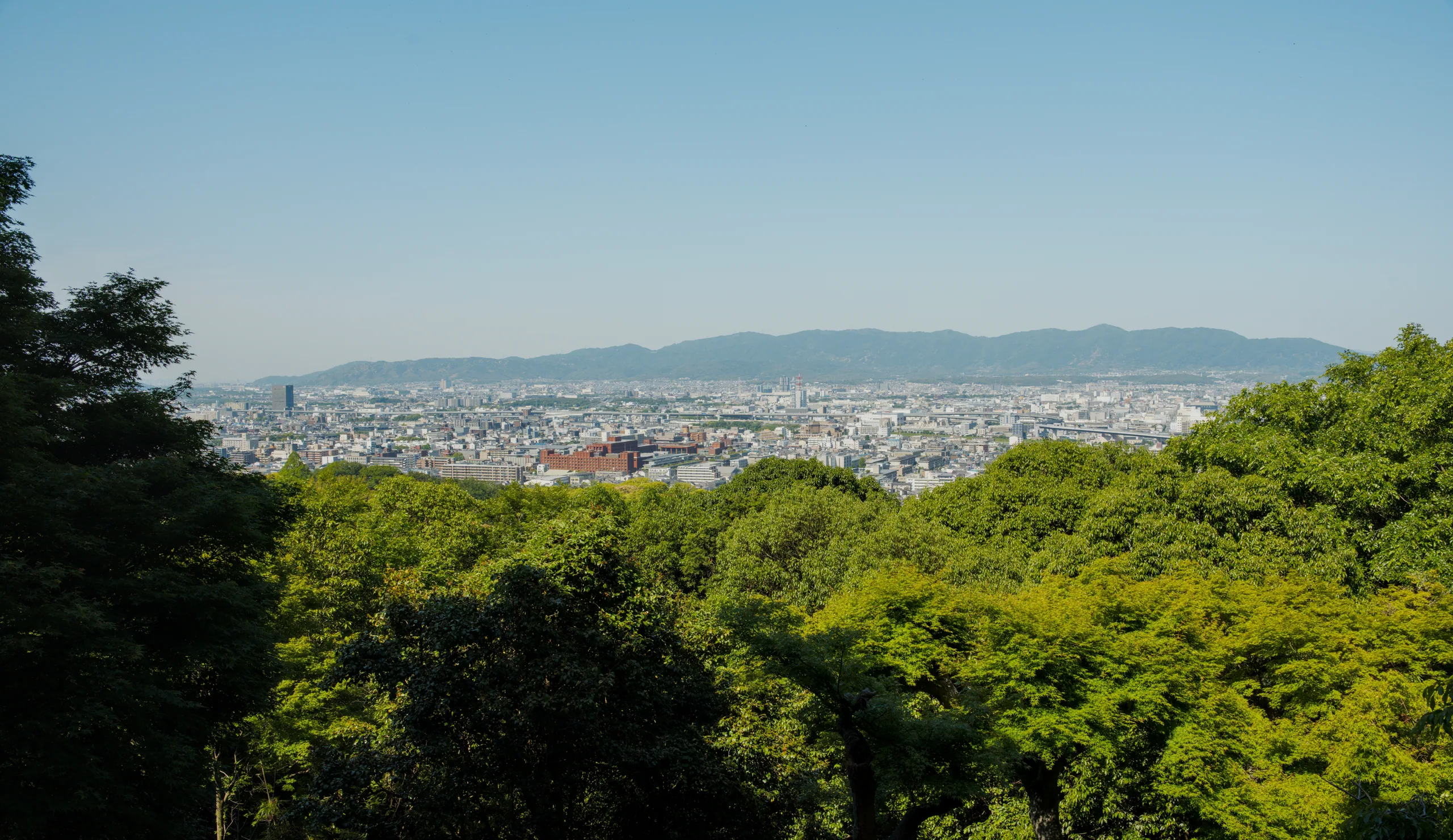 A city sprawling across a valley floor, viewed from a forested hillside under clear sky.