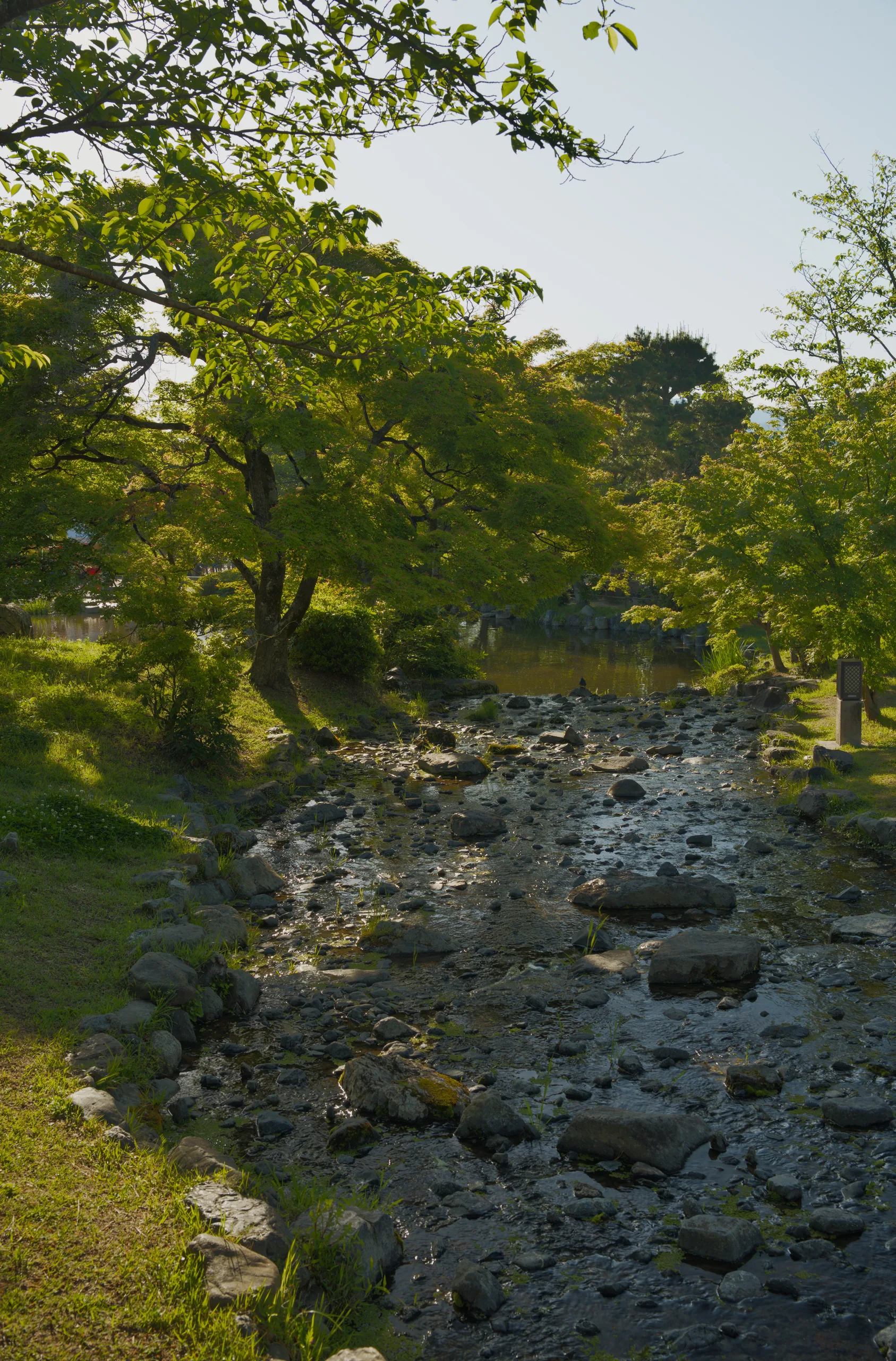 Stream with moss-covered banks and overhanging vegetation along a garden path.