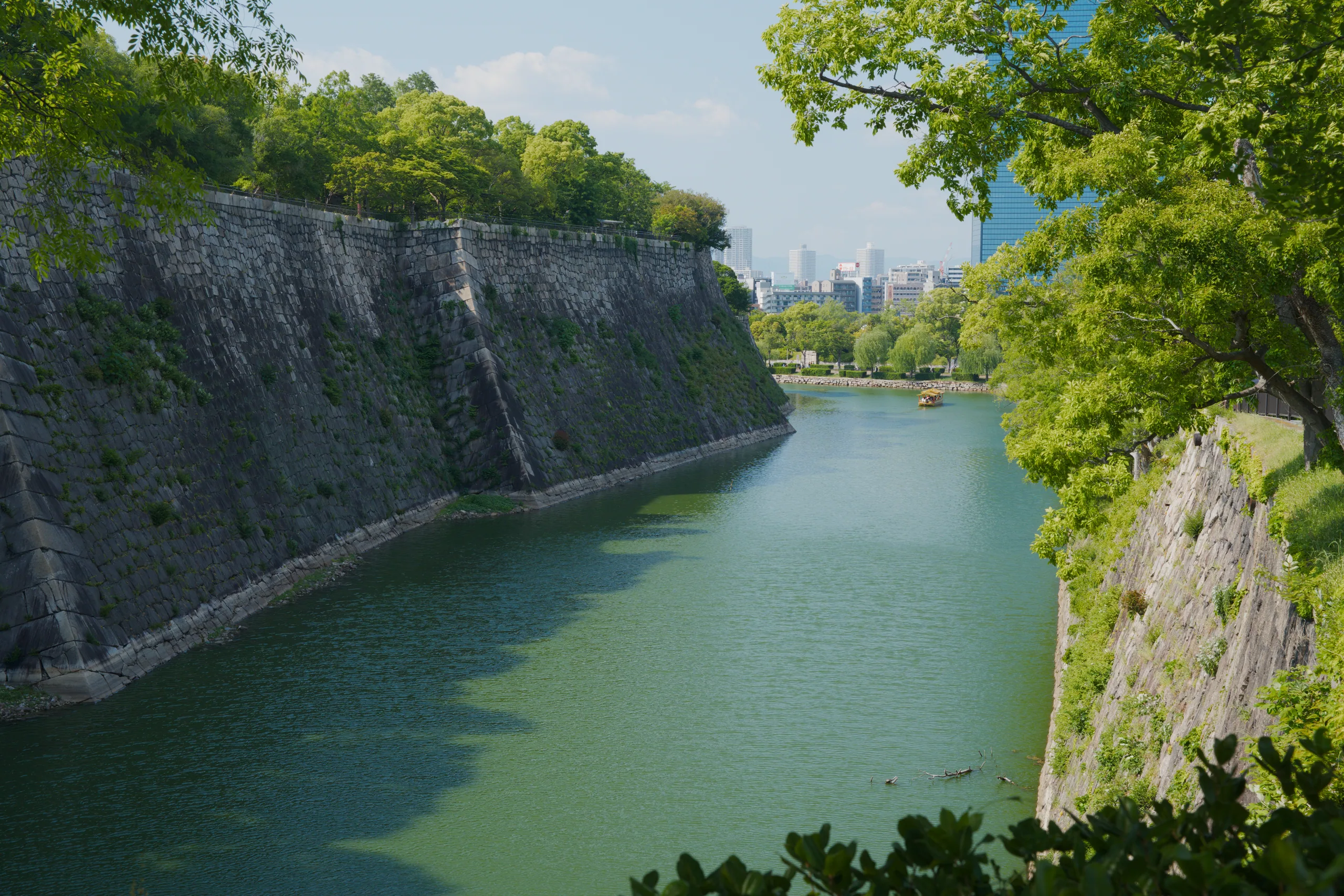 Stone ramparts slope toward a wide moat, with a castle tower and trees framing the distant horizon.