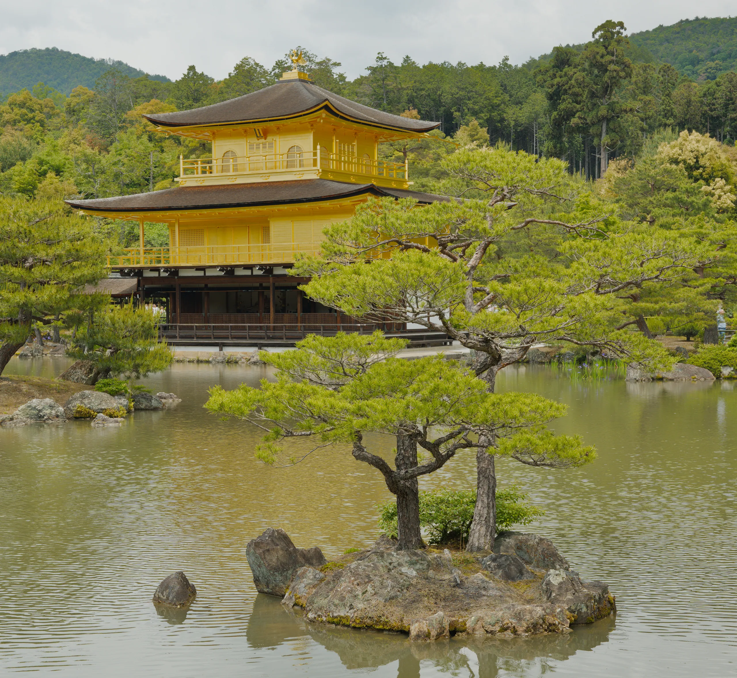 A tiered golden temple pavilion sits among mature pine trees on a moss-covered peninsula in still water.