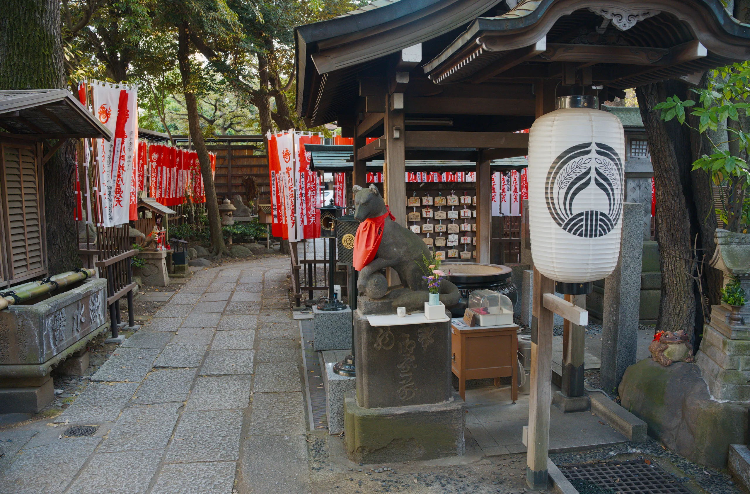 A shrine street lined with red lanterns and shopfronts under overhead trees.