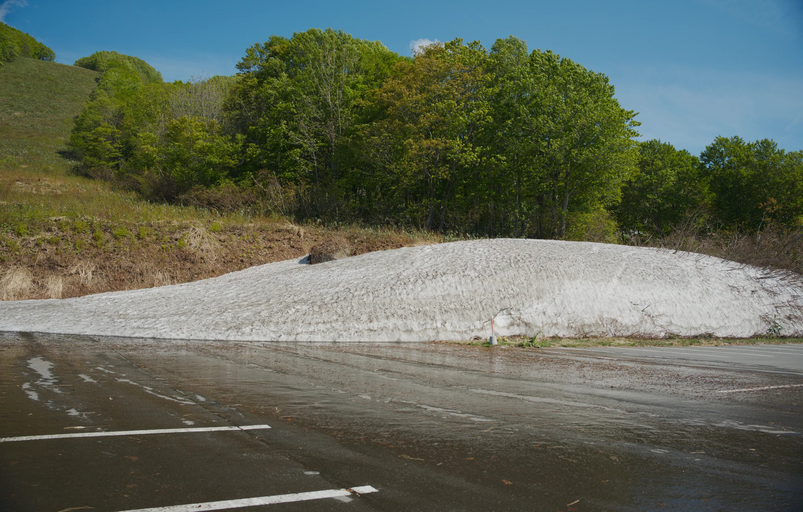 White sandbars line a river winding through a forested valley with green hills beyond.