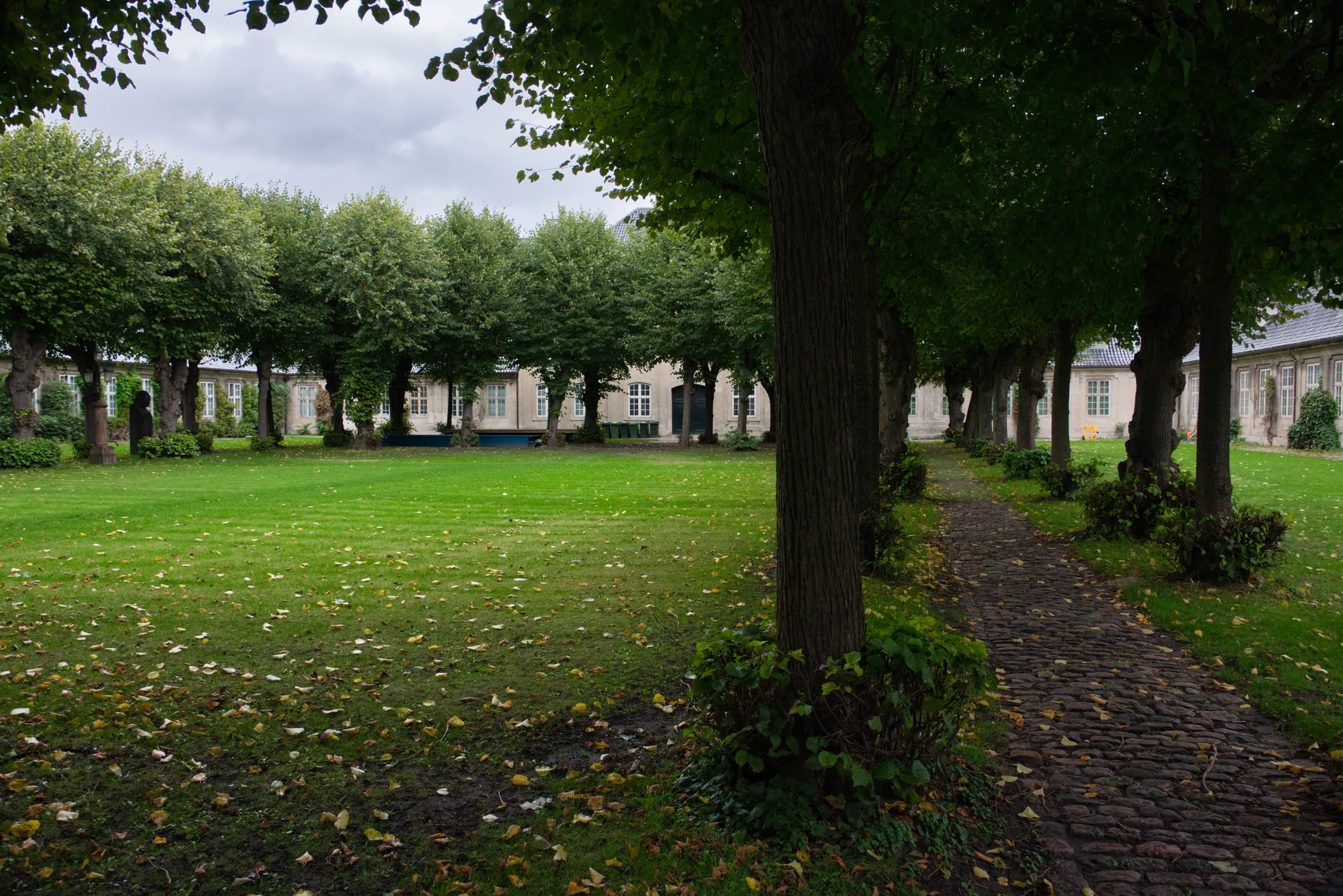An avenue of clipped trees along a gravel path through a Copenhagen park, fallen yellow leaves across the grass and low pale barracks buildings behind.