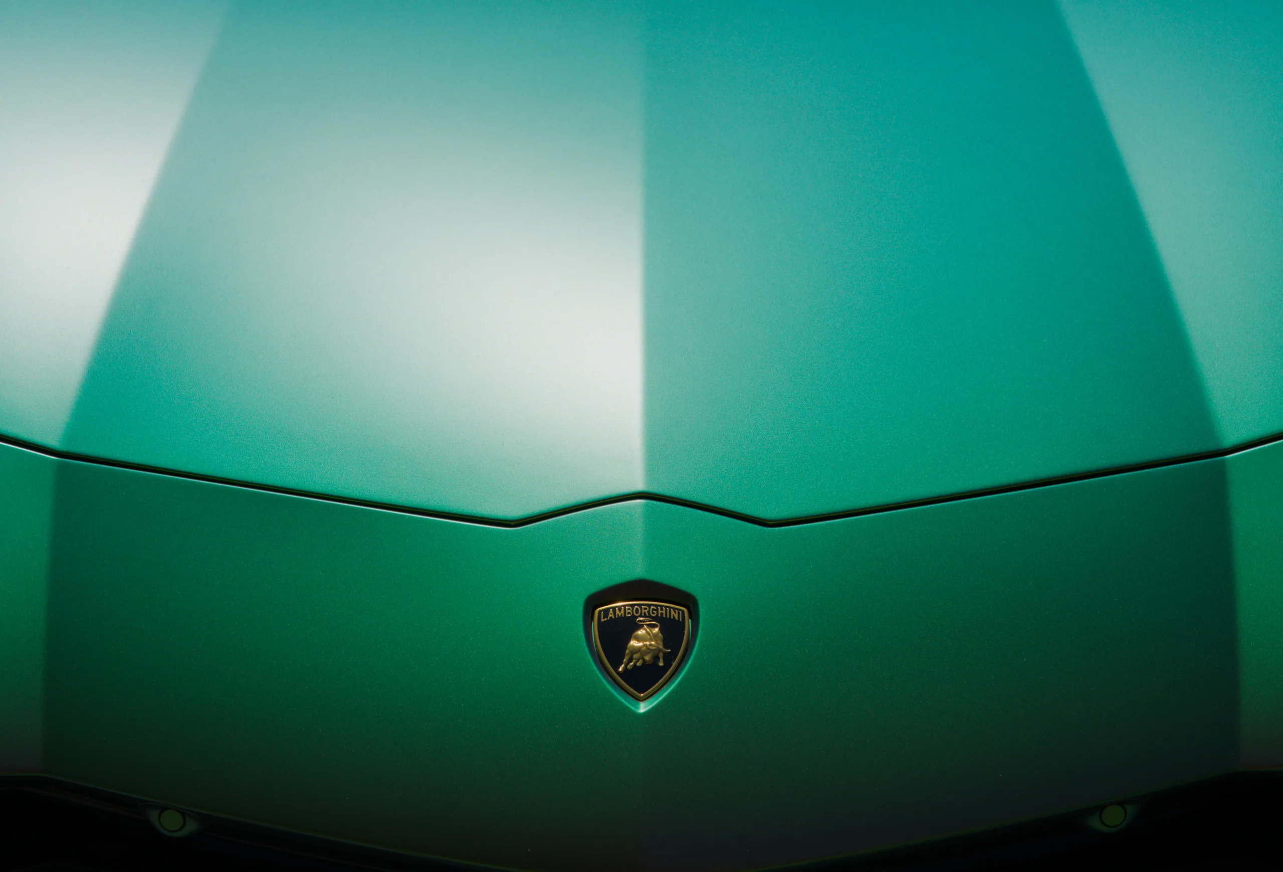 A car hood painted with a gradient transitioning from white to green, displaying a shield emblem at center.
