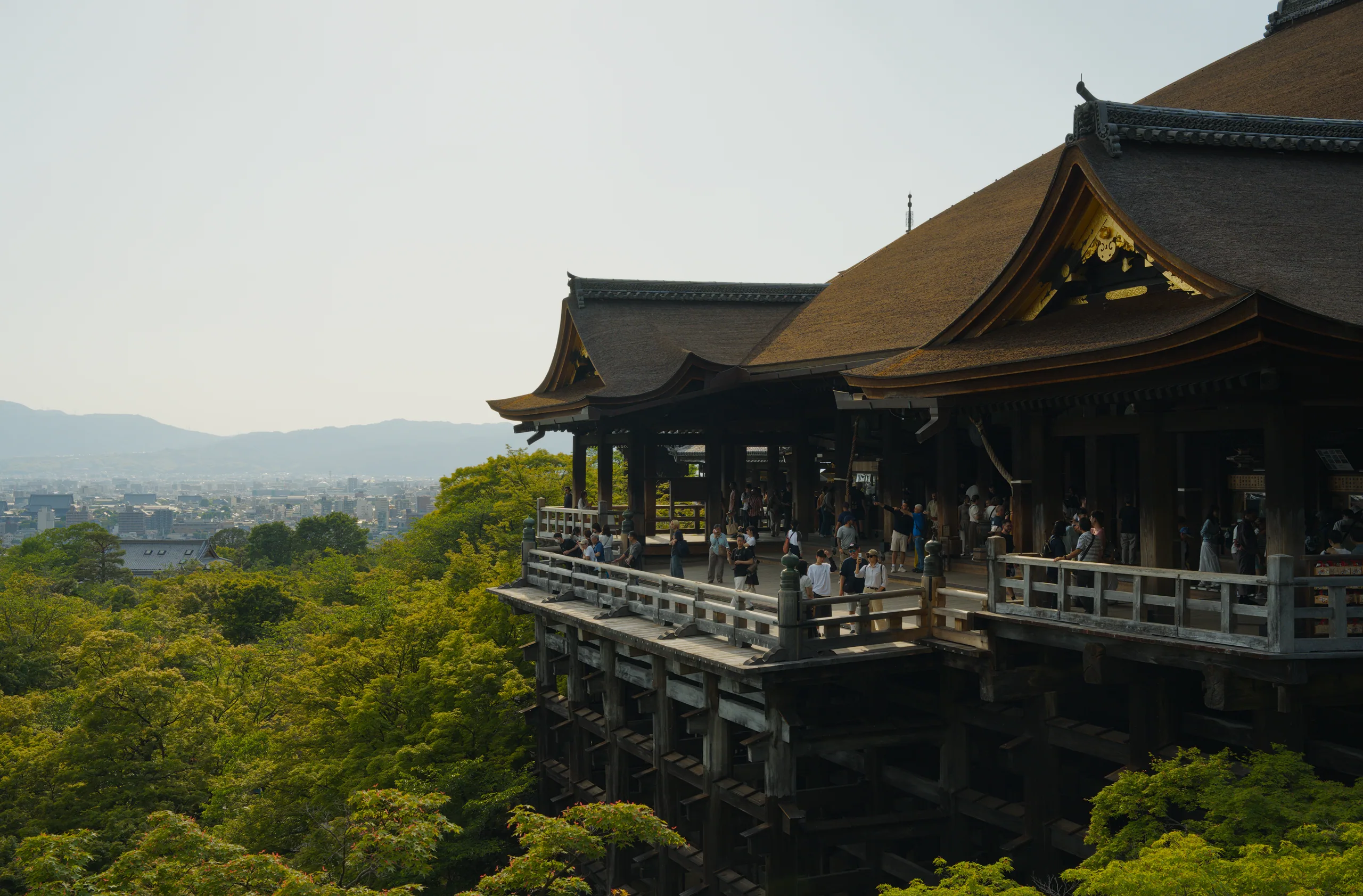 Dark-roofed Japanese pavilion rising from thick surrounding forest.