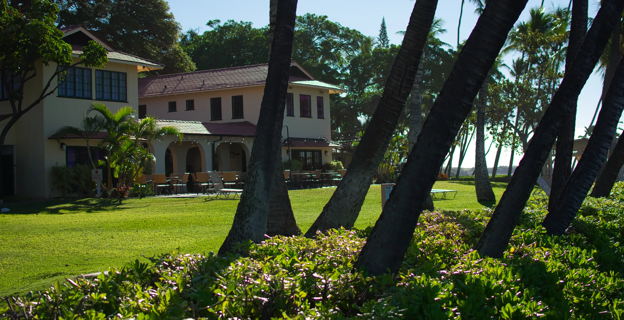 A lawn edged with palm trunks leaning at an angle, a white plantation-style house with a red roof behind them.