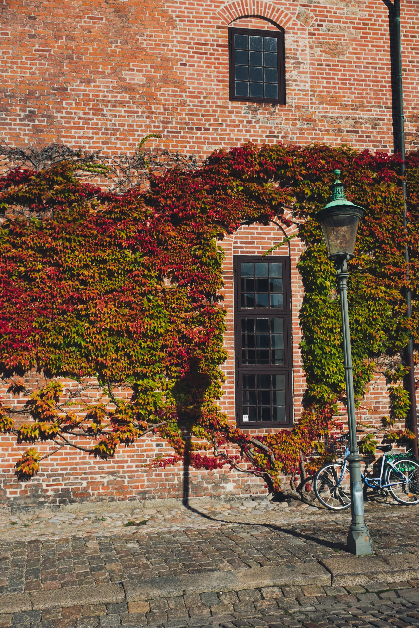 Virginia creeper turning red and gold across a brick wall beside a tall arched window, with a green street lamp and parked bicycles below.