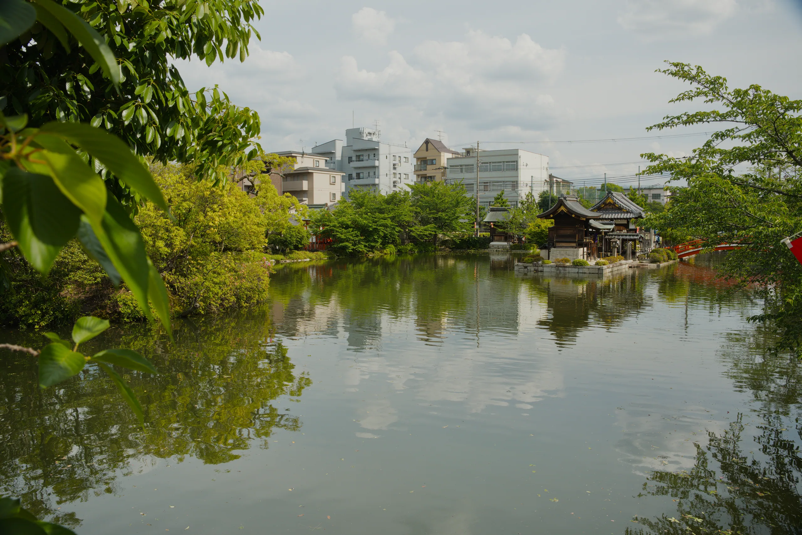 A calm river bordered by dense green vegetation on the near shore, with city buildings visible across the water.