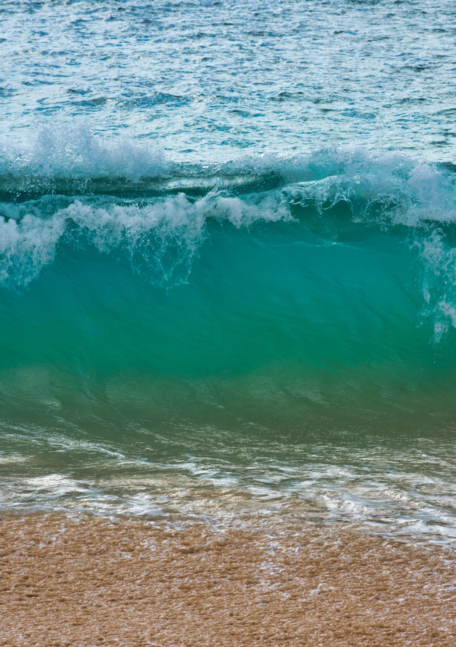 A small turquoise wave curling over and breaking onto coarse golden sand.