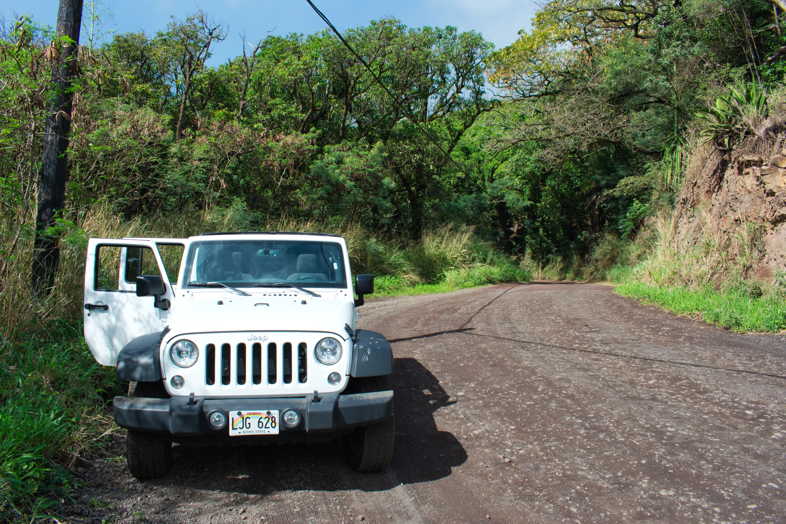 A white open-top Jeep parked on the verge of a narrow road cut through thick roadside vegetation.