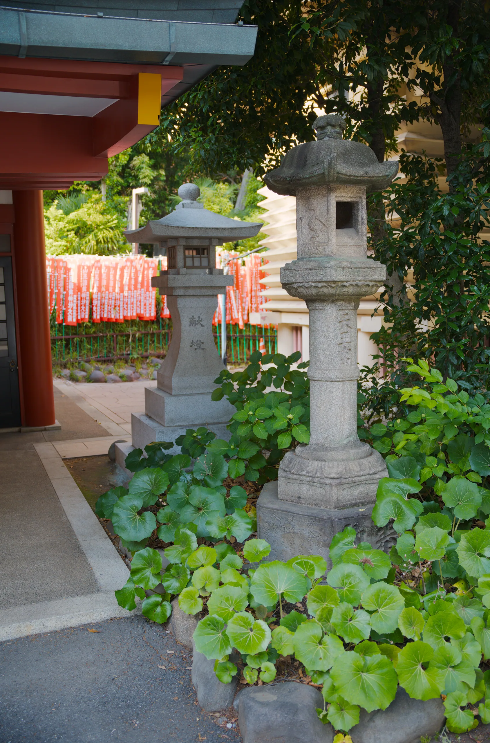 Stone lanterns surrounded by cascading ivy in a temple courtyard.