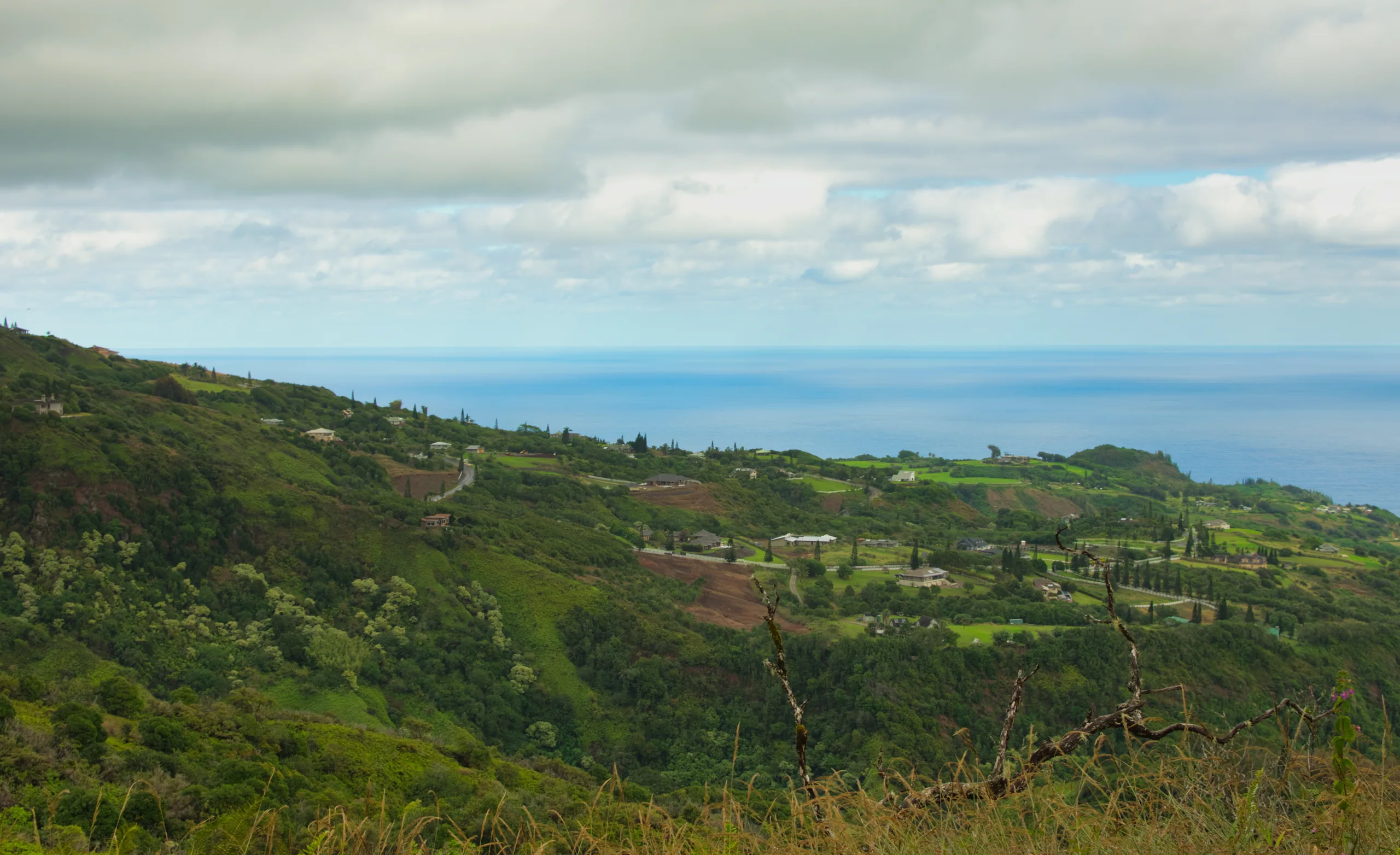A view down over green cultivated hillsides to the ocean, under a broad bank of cloud.