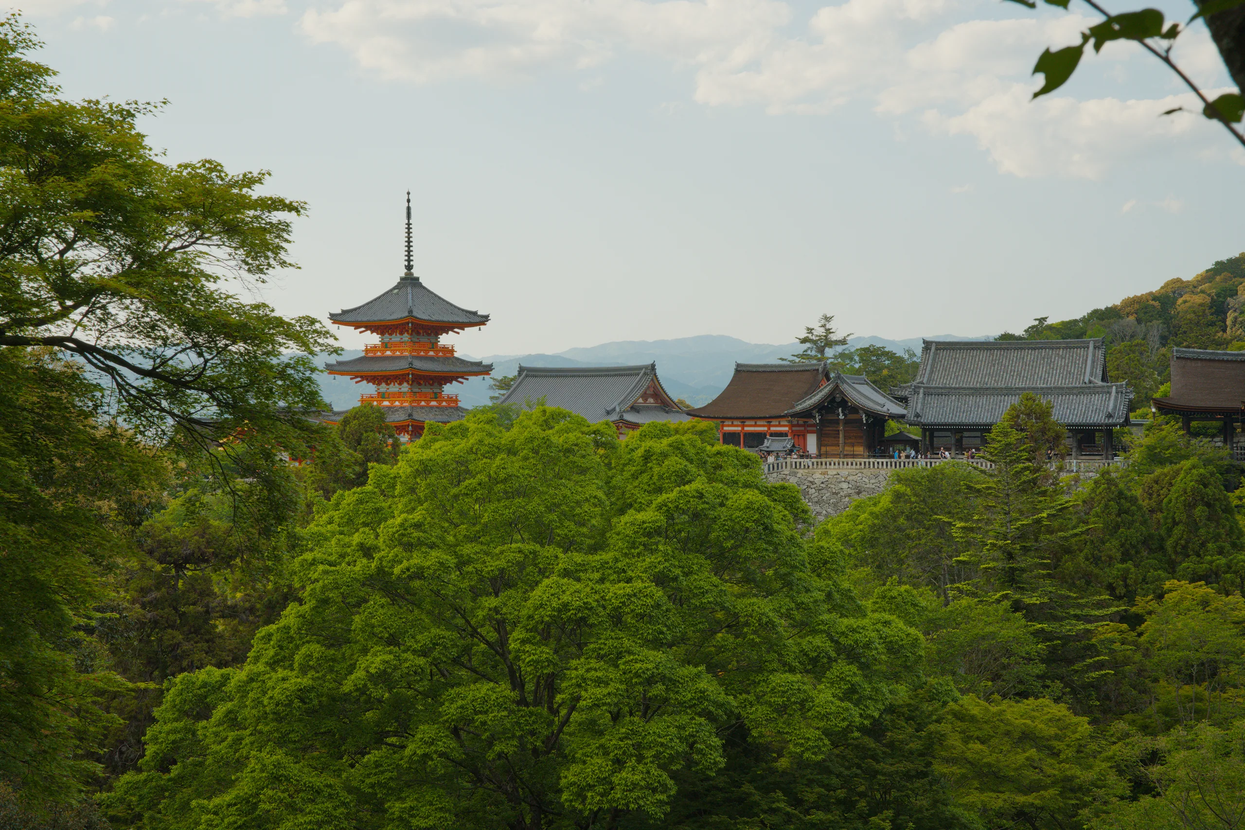 Red wooden temple buildings with ornate roof details stand above green forest canopy.
