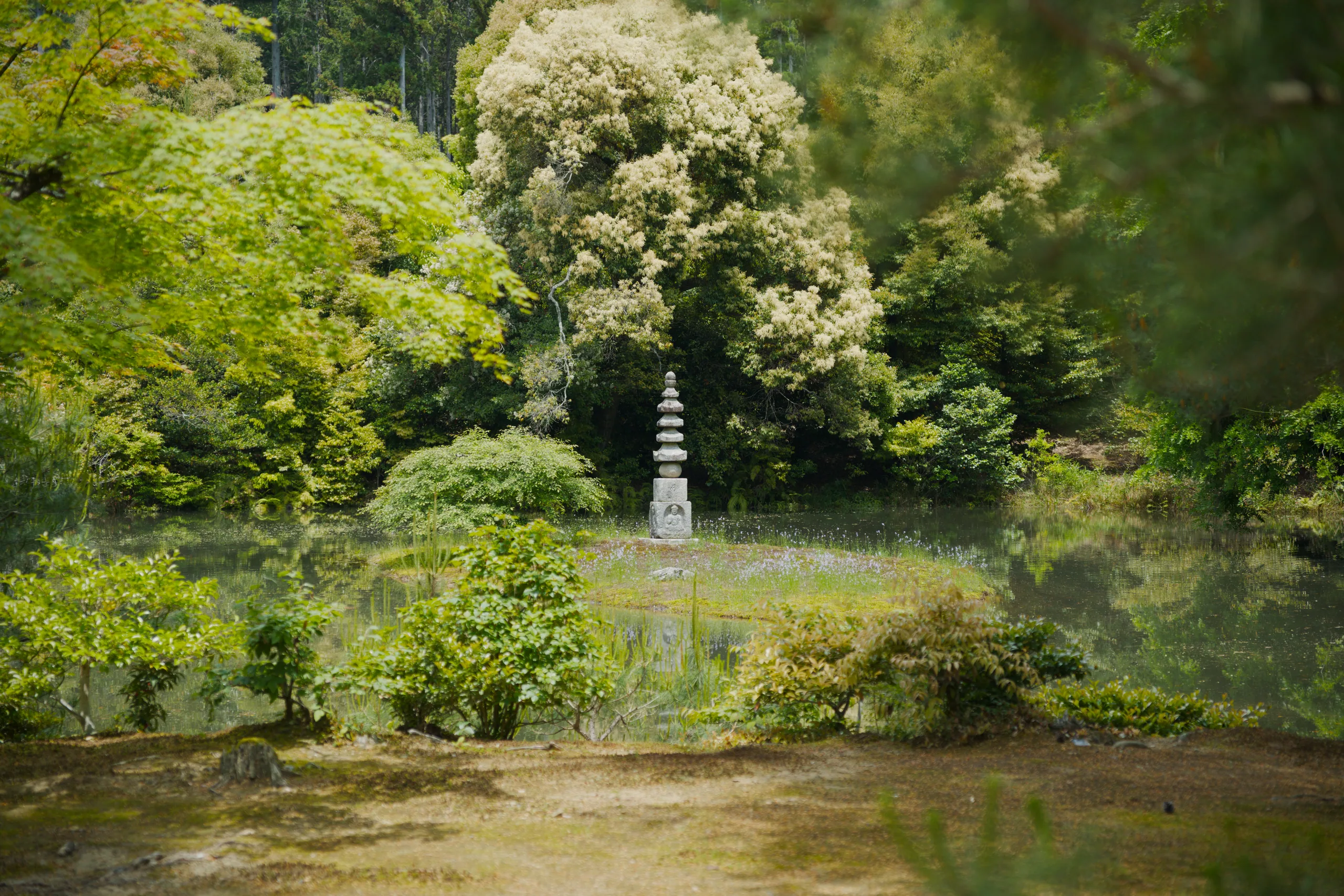 A wooded garden path with dense foliage surrounds a stone lantern overlooking water.