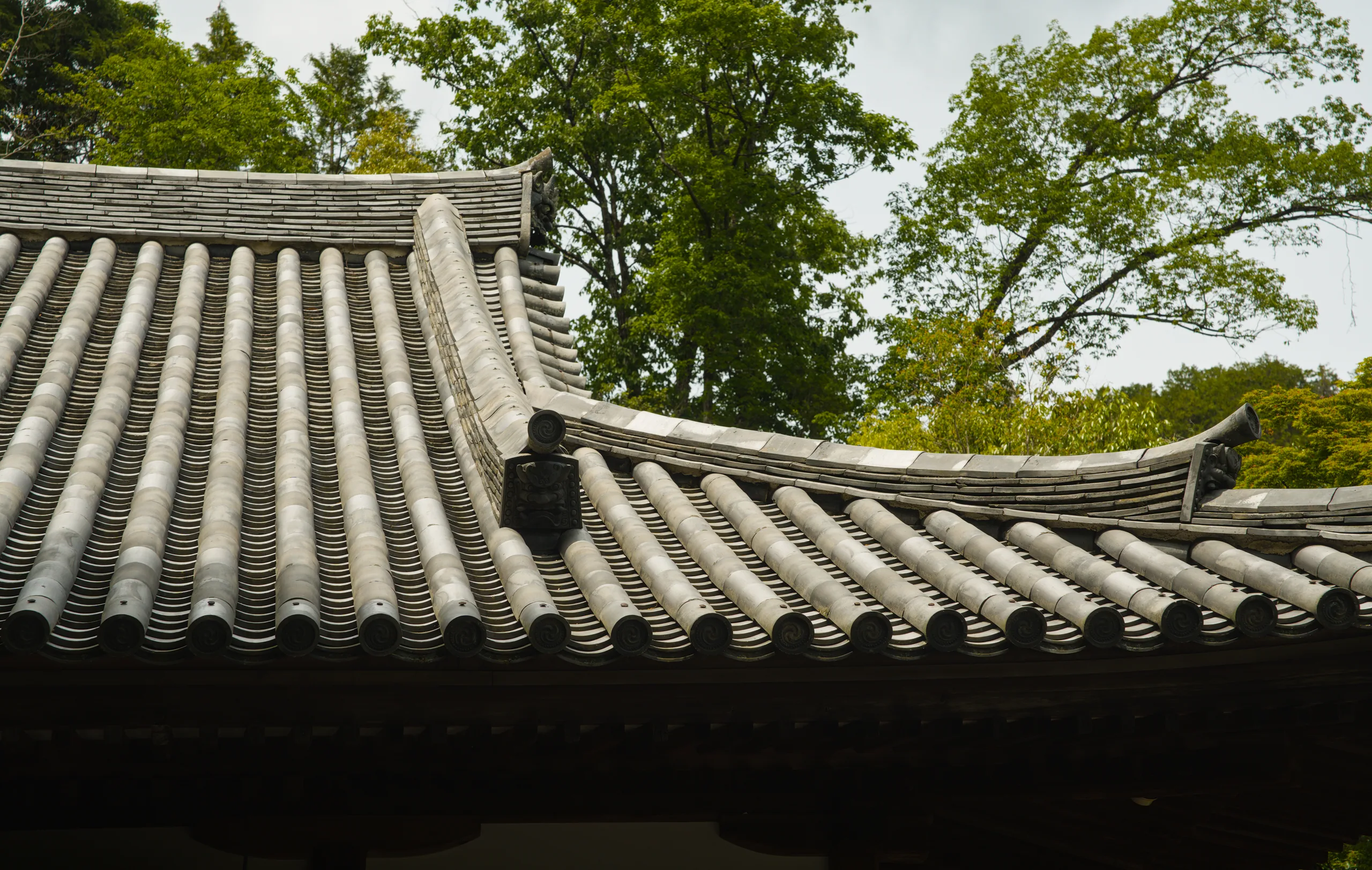 Curved upturned roof edge with traditional tile work framed by trees.