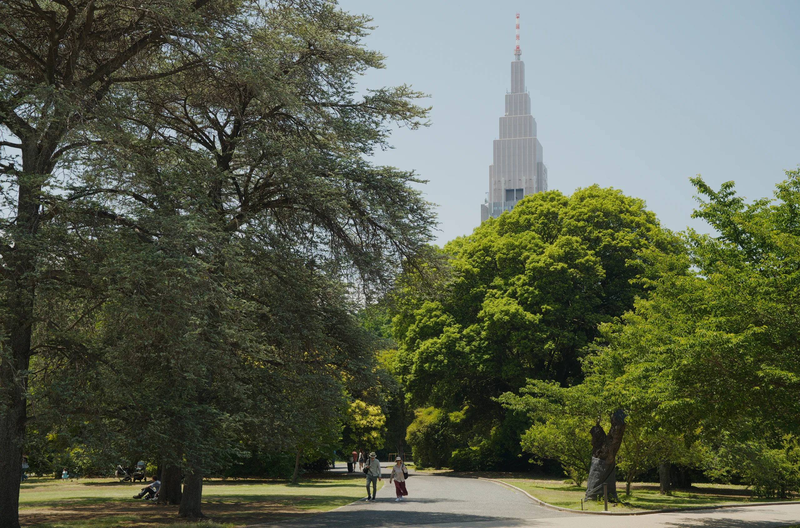 A church spire rises beyond mature trees framing a grassy park with figures resting on the lawn.