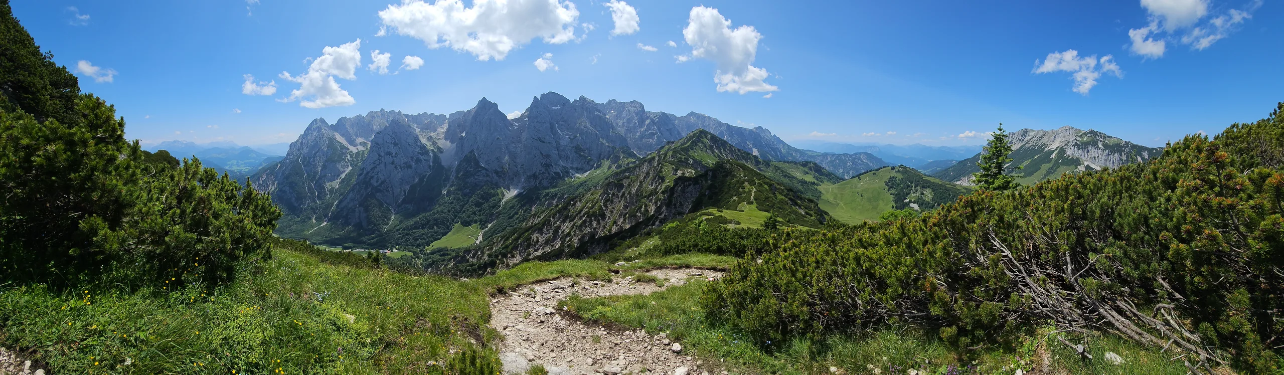 A wide panorama of the Wetterstein range from a high path, pine scrub in the foreground.