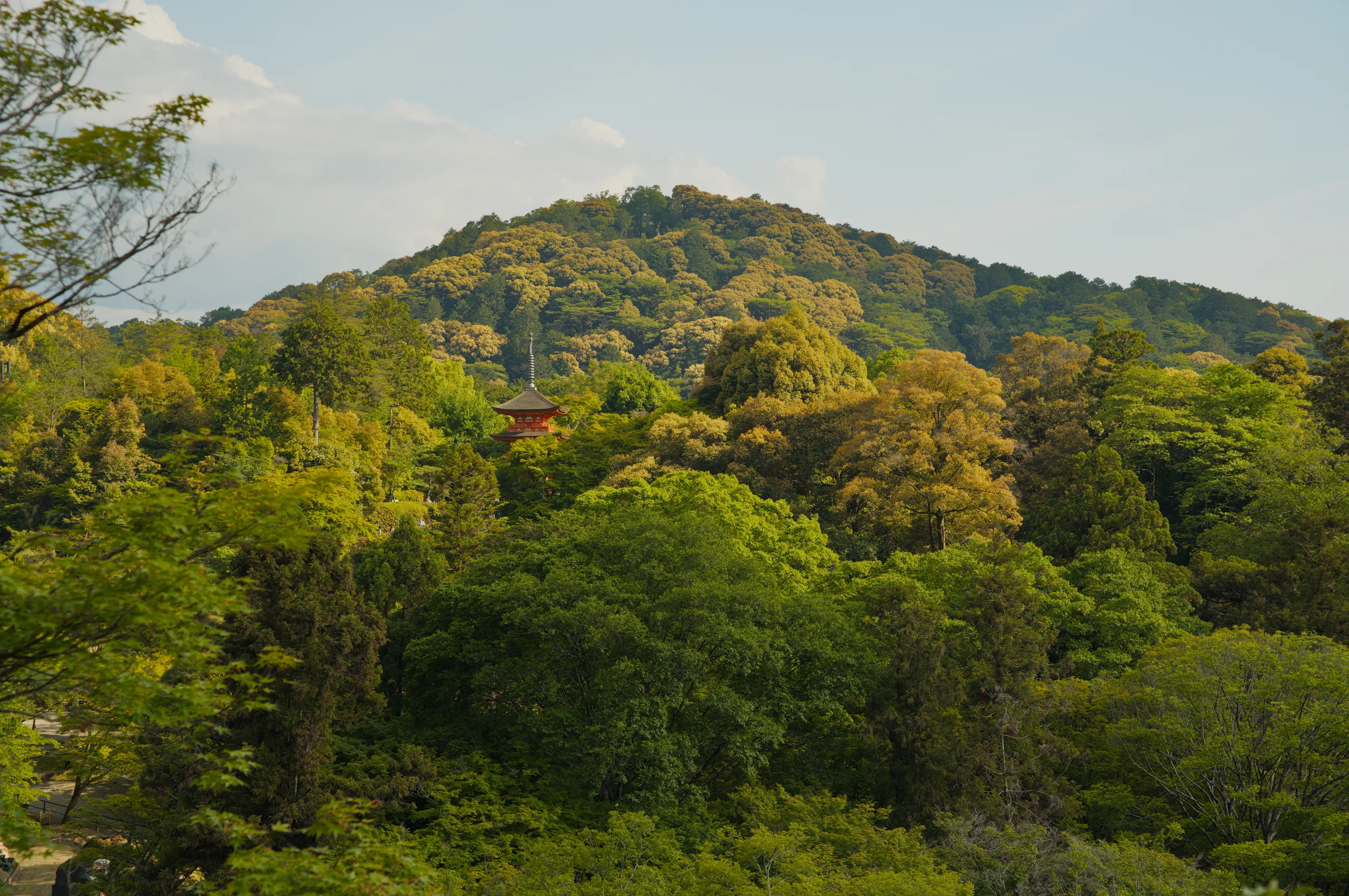 Forested mountains and valley under partly cloudy sky.