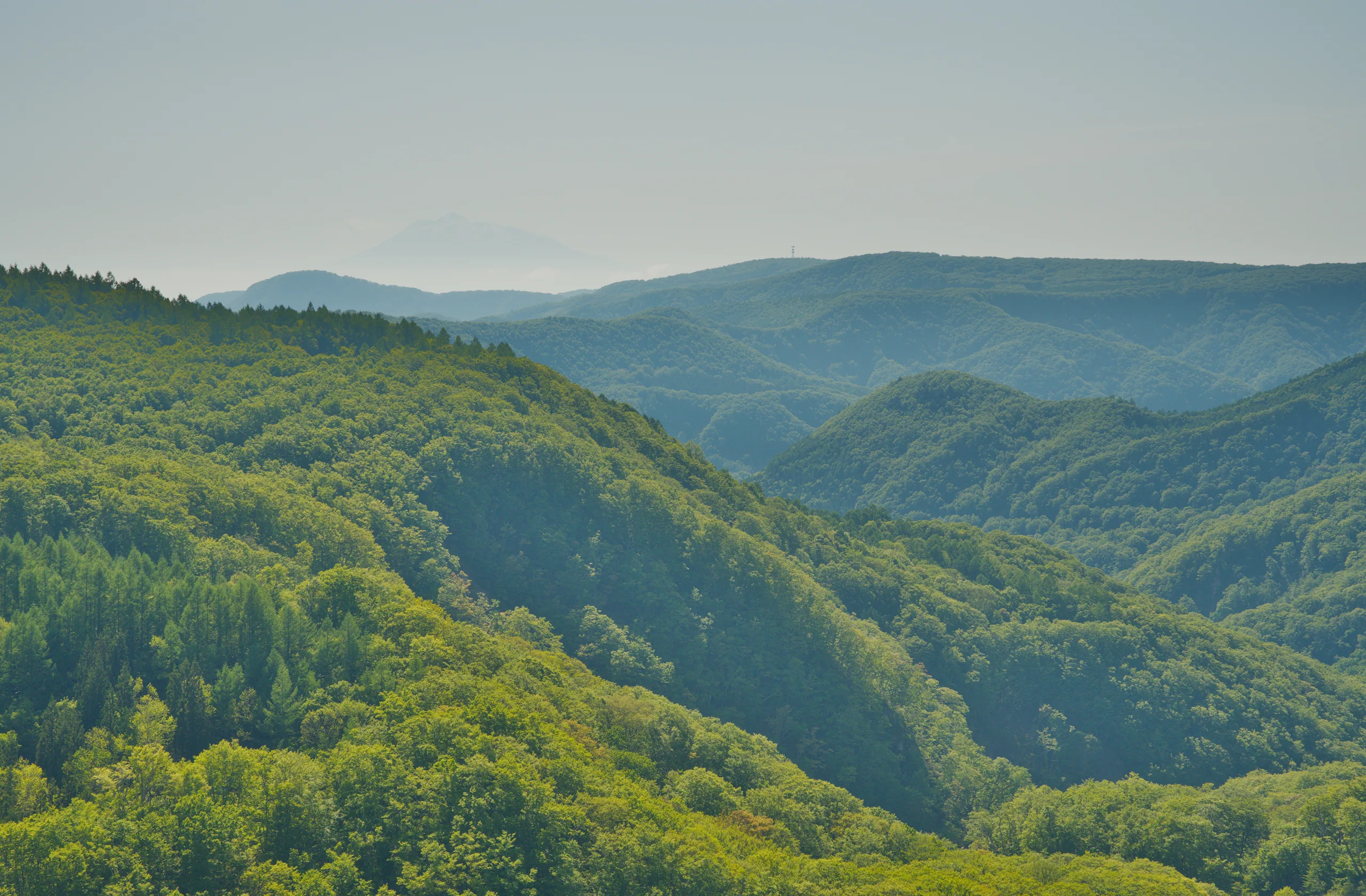 Dense green forest covers rolling hills and a valley formation.