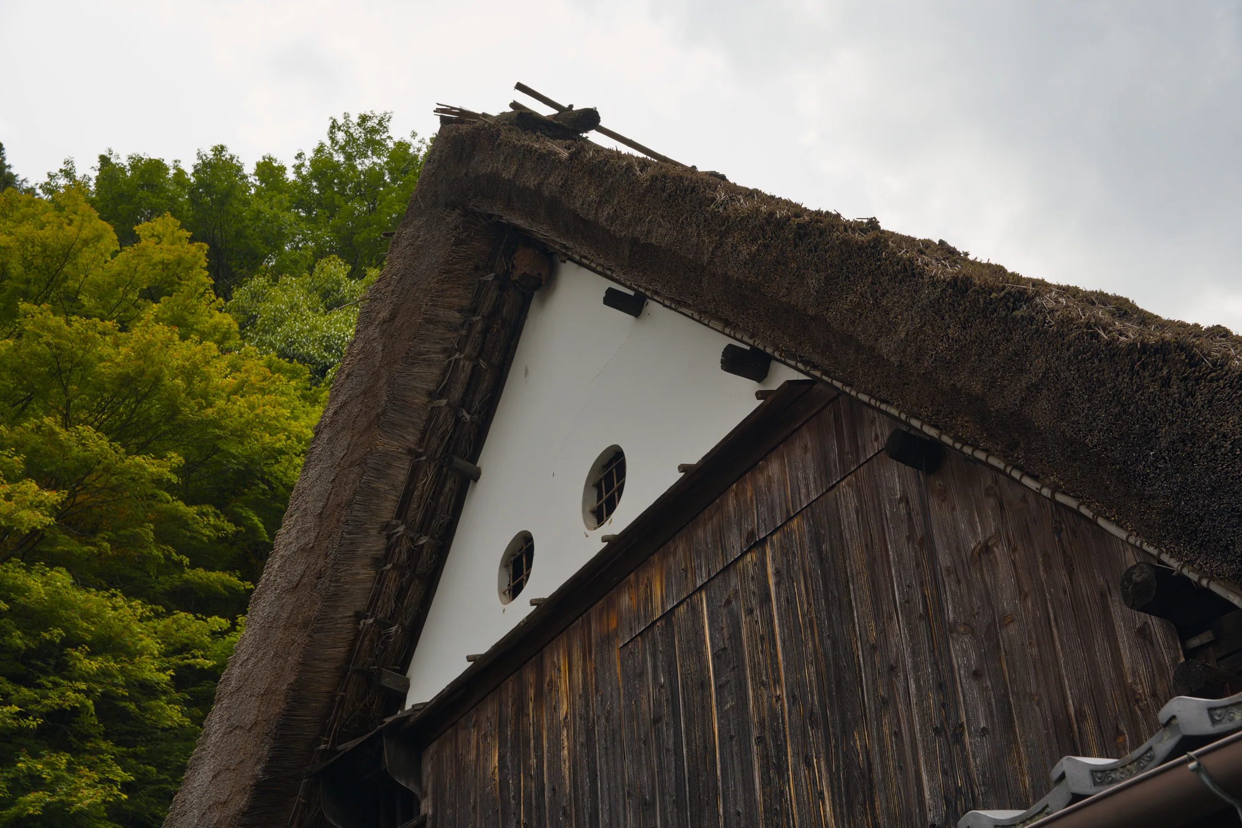 A traditional building with dark wooden roof overhang and white walls framed by forest.