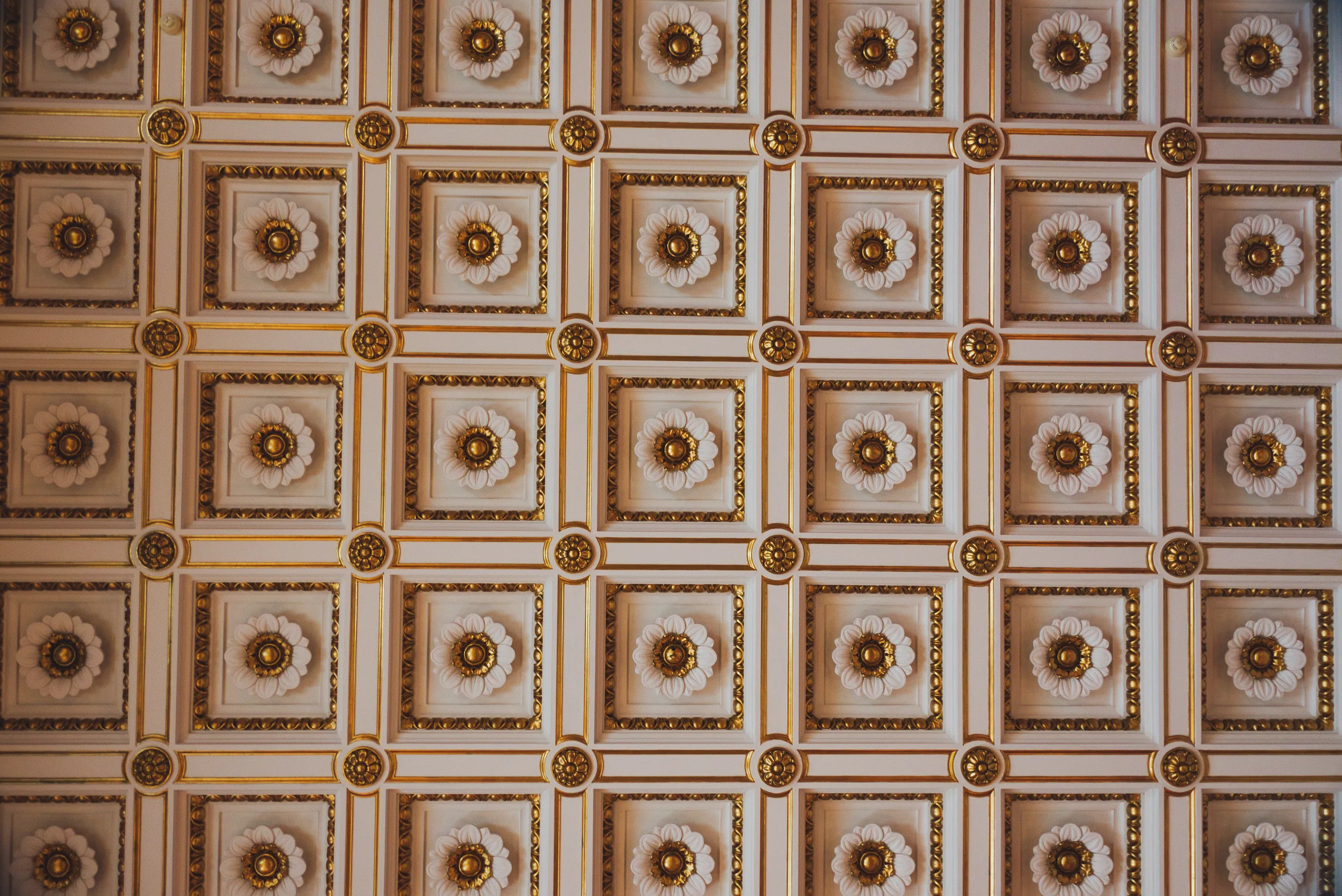 A coffered ceiling of repeating square panels, each with a gilded rosette at its centre.