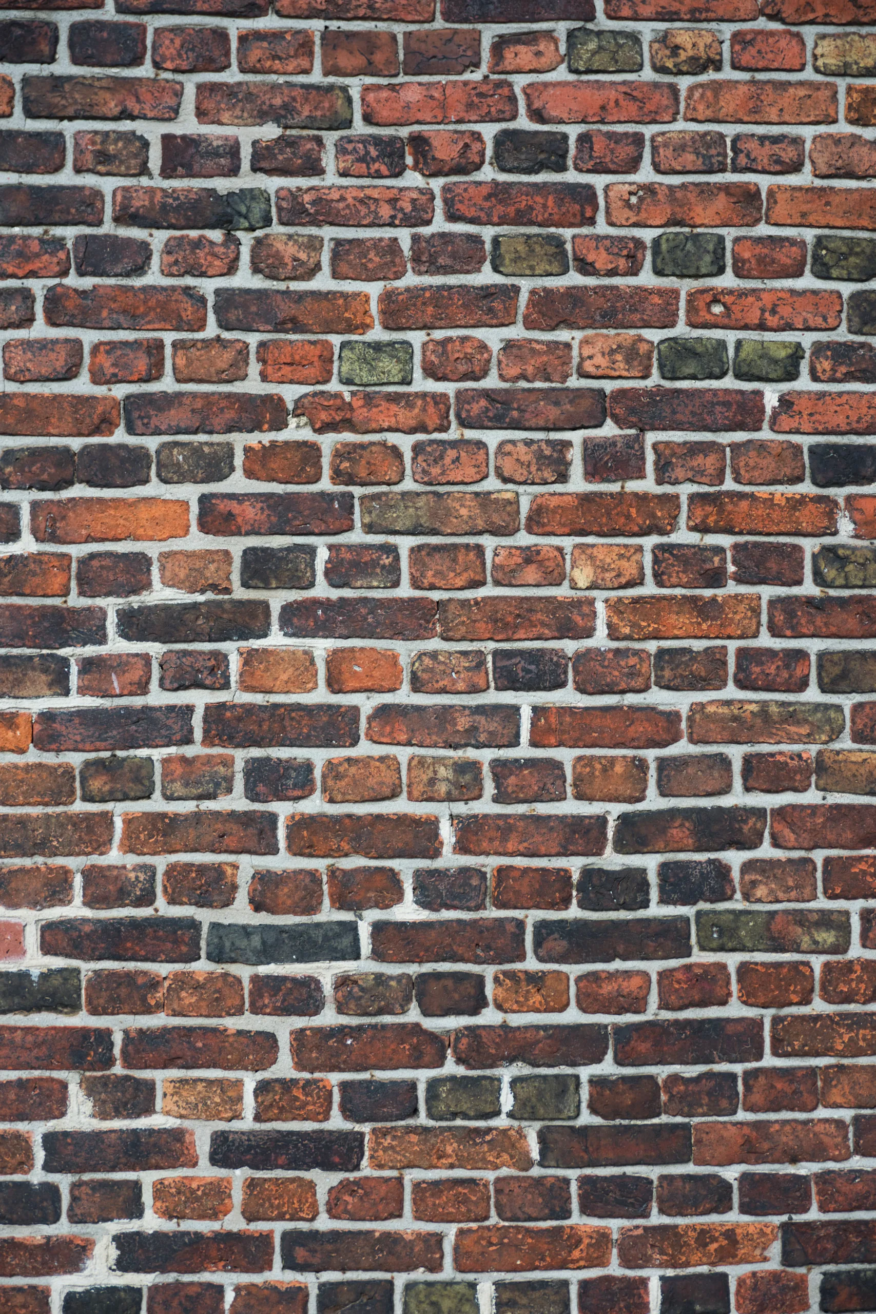 A close view of an old brick wall, the bricks varying from orange to near-black between pale mortar joints.