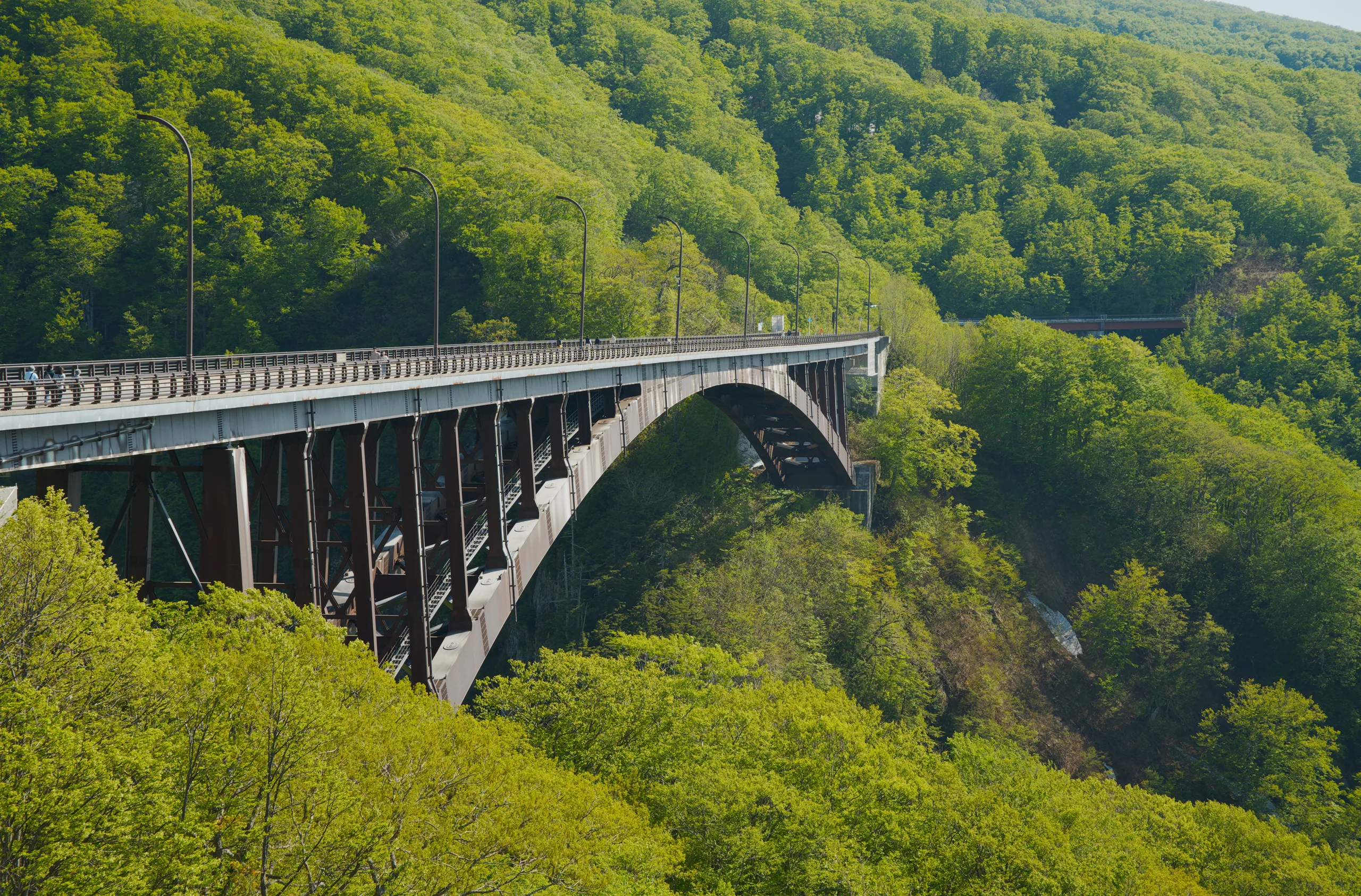 An arched bridge spans a forested valley with steep hillsides densely covered in green trees.