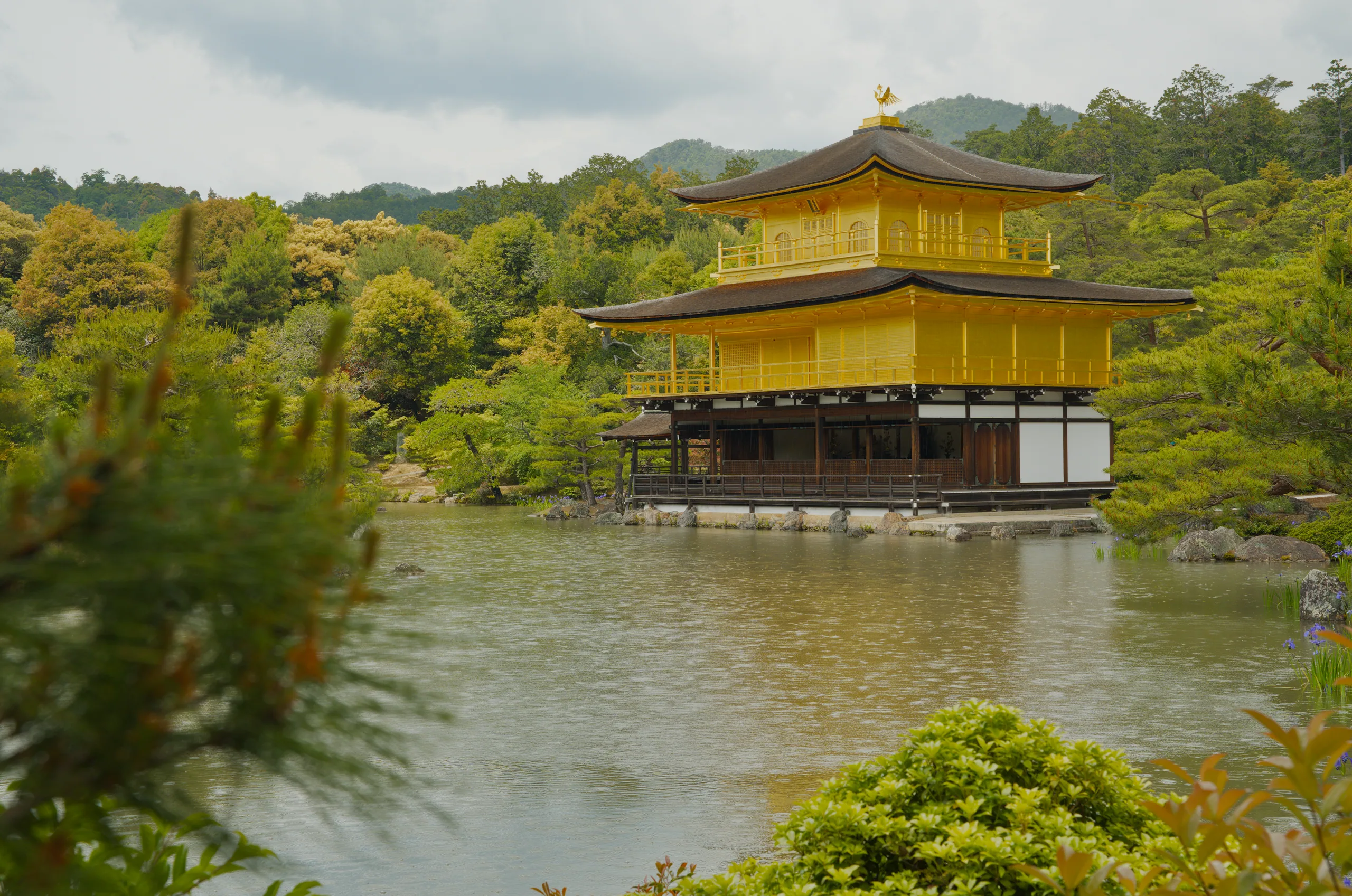 Golden-roofed temple buildings stand across a pond bordered by manicured trees and forested hillsides.