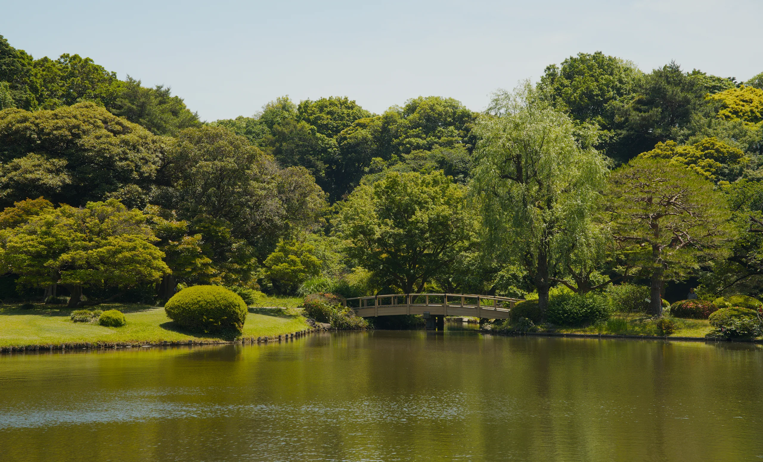 Garden shoreline with tree-lined banks and manicured vegetation beside still water.