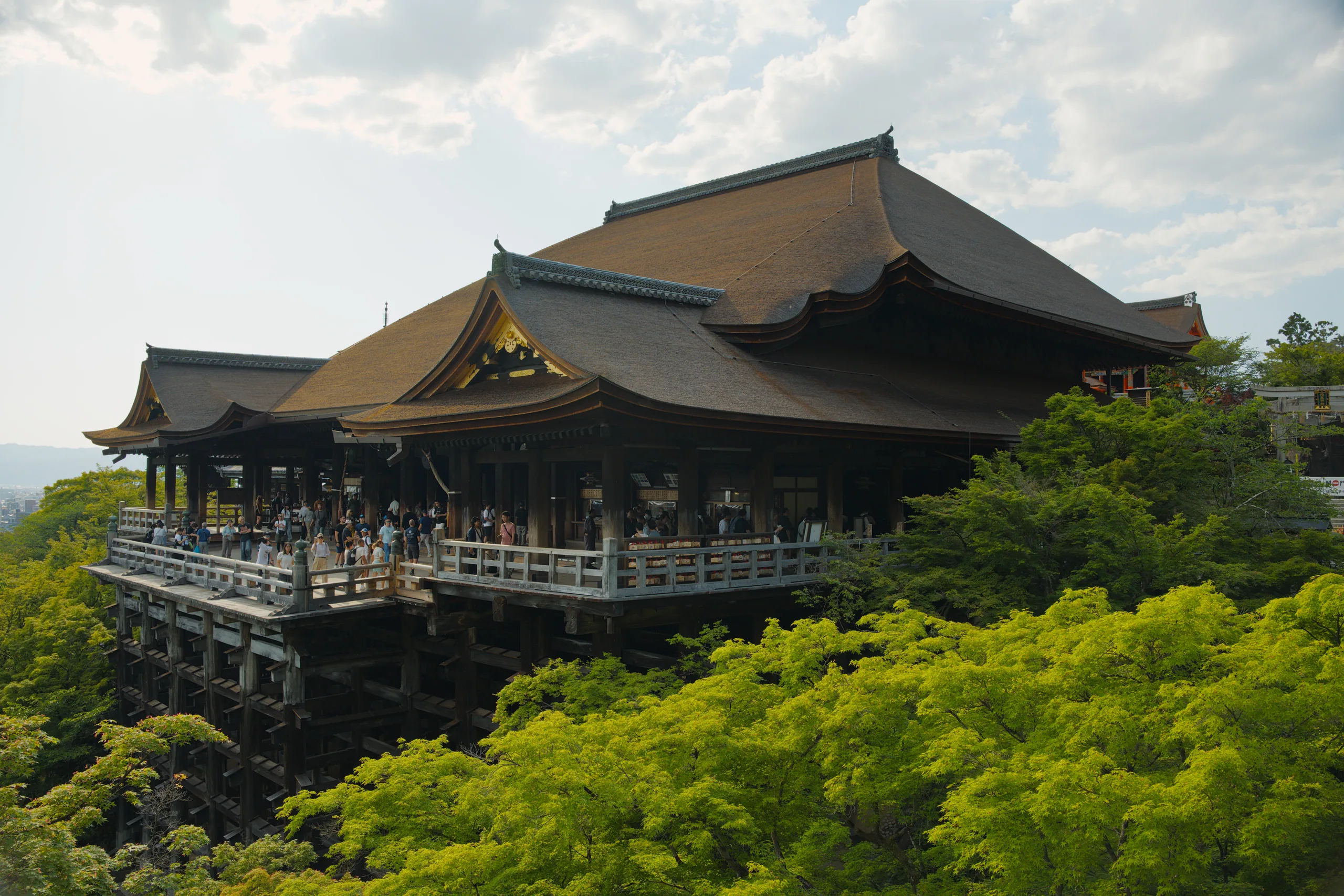 Japanese temple with curved roof surrounded by dense green forest.