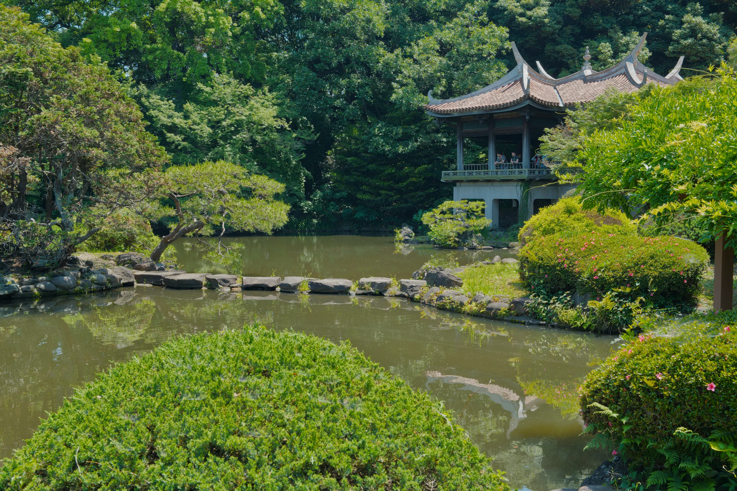 A moss-covered Japanese garden features a wooden platform, a tiered pagoda, and still pond surrounded by dense vegetation.