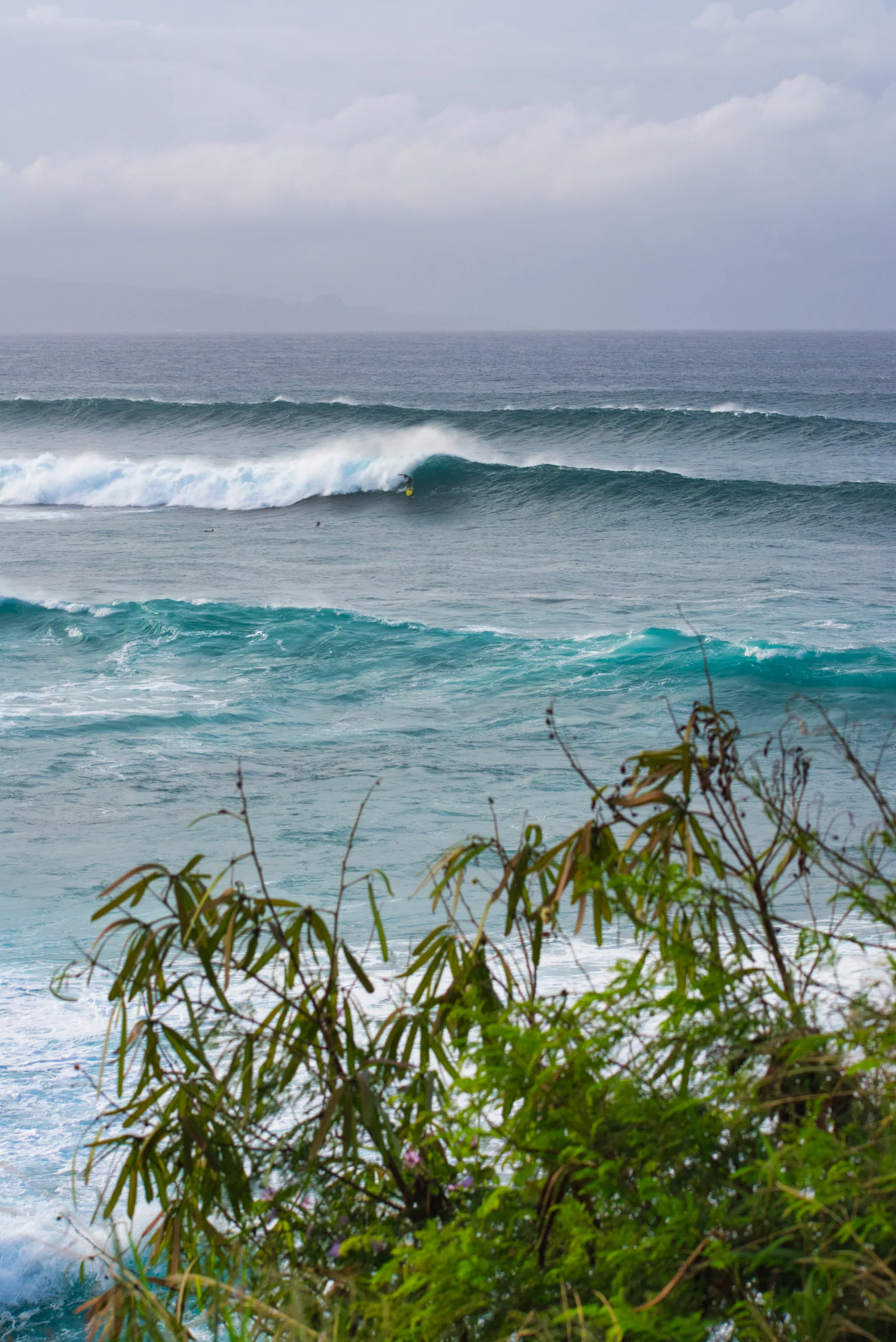 A clean set of waves peeling along a reef under an overcast sky, seen over green scrub in the foreground.
