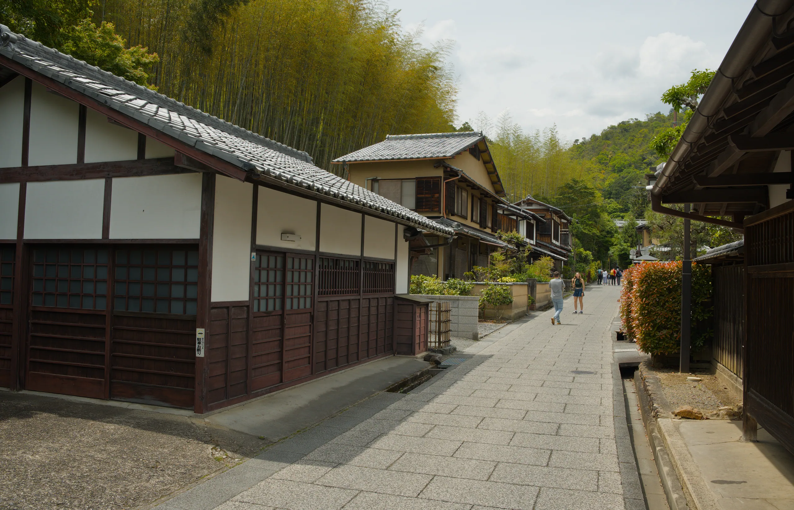 A tree-lined street passes between traditional timber-frame buildings with white plaster and dark wooden bracing.
