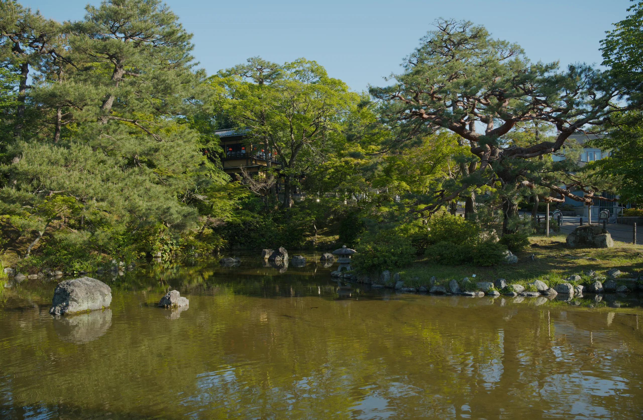 Japanese garden with pond, scattered rocks, mature trees and a house visible across the water.
