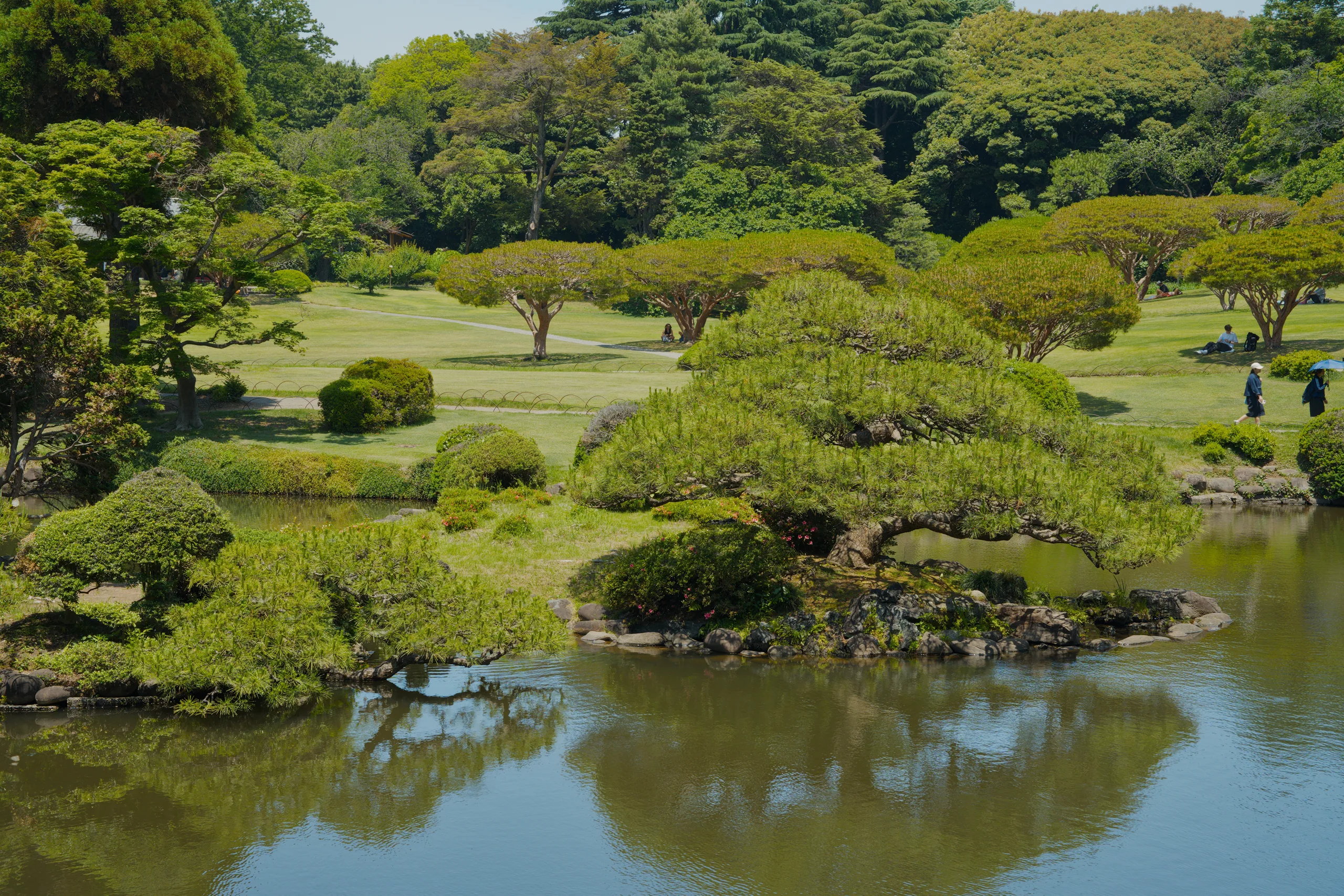 Manicured evergreen shrubs and open lawn dominate a carefully designed garden landscape.
