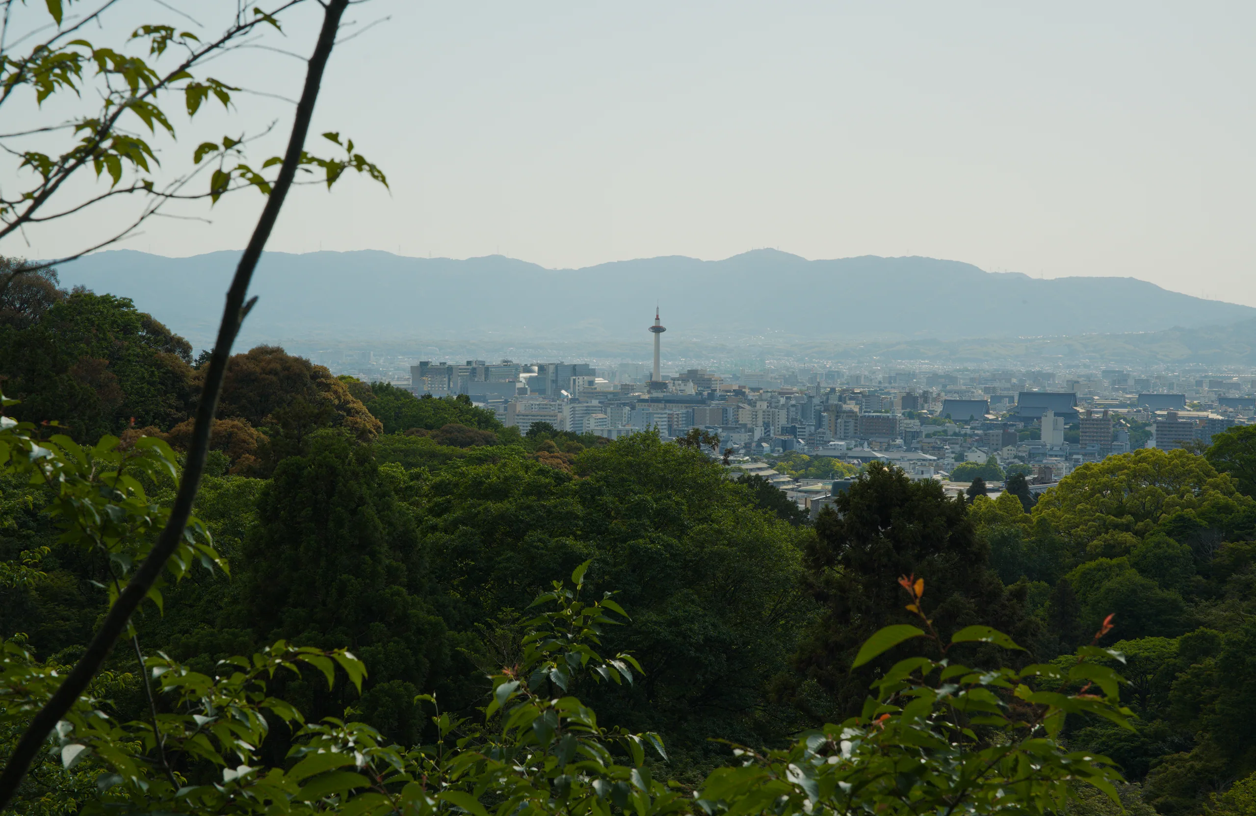 Tiered temple roofs and pagodas rise above dense forest, with mountains and a distant city on the horizon.