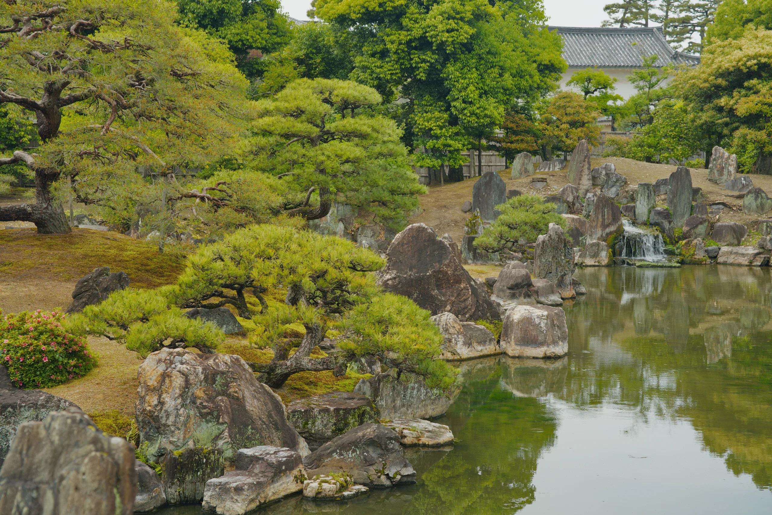Japanese garden with a still pond reflecting overhanging trees, moss-covered ground, and placed rocks.