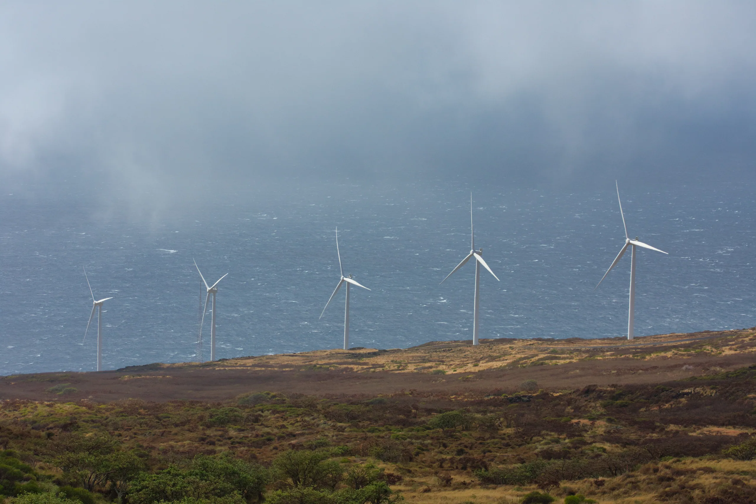 A line of wind turbines along a bare ridge above the sea, rain cloud low over the water.