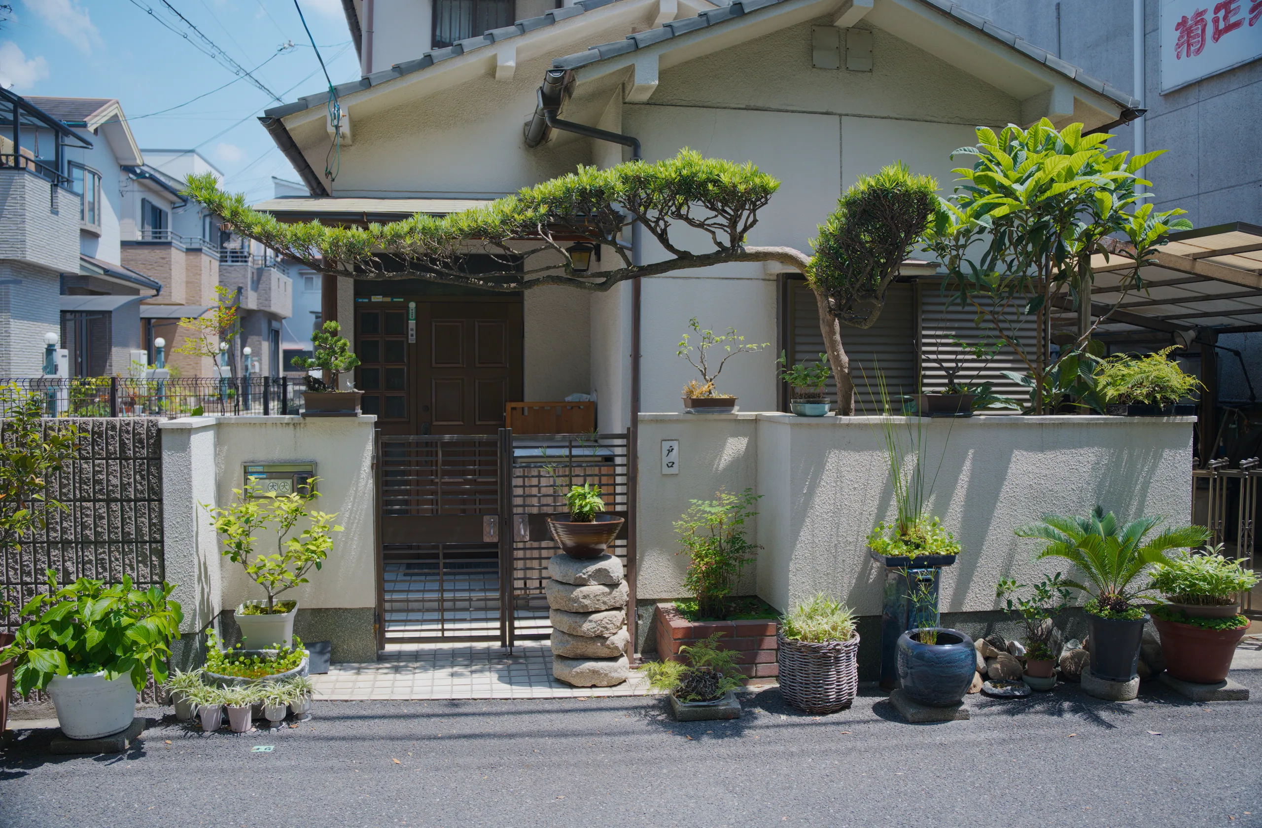 A residential street lined with potted plants and small trees displayed outside houses.