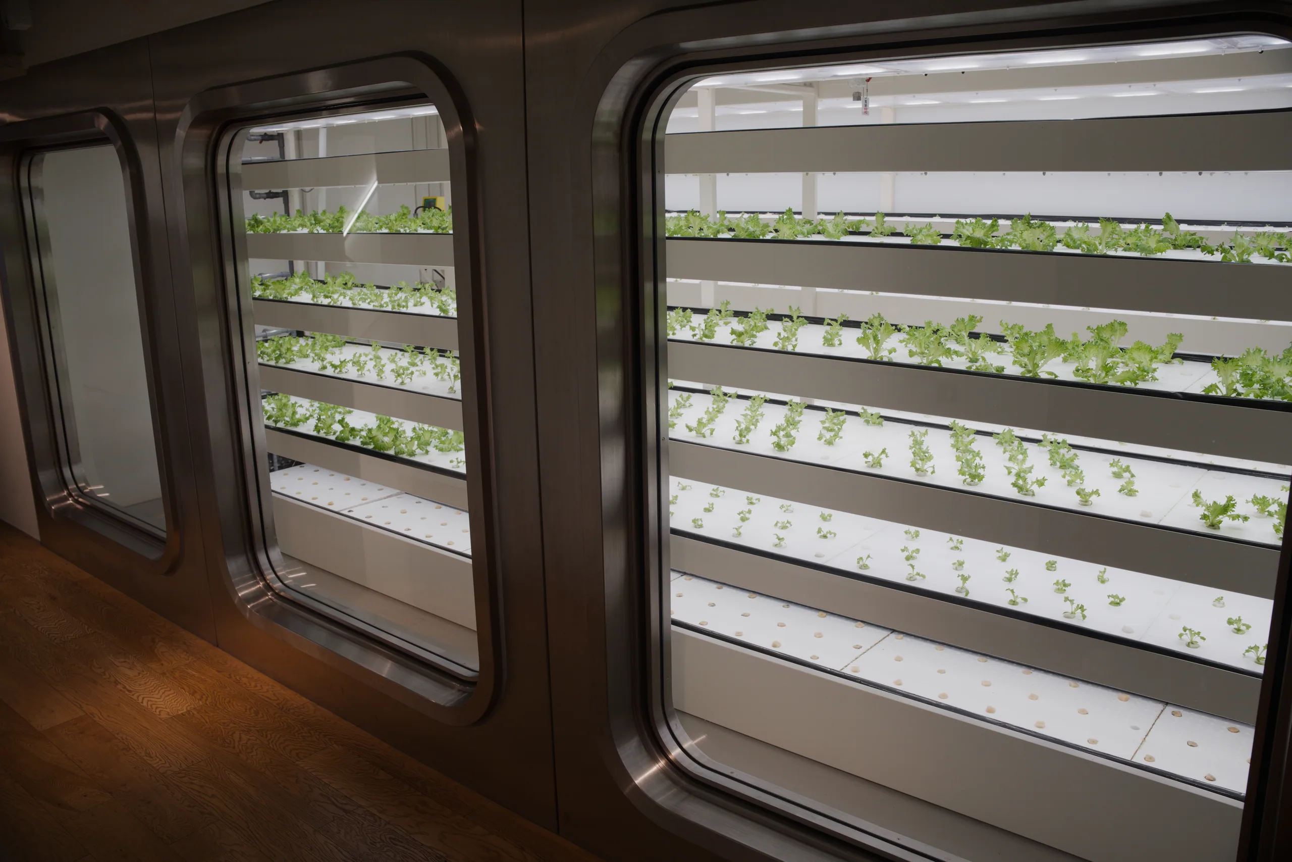 Vertical farm trays stacked in tiers under grow lights, viewed through a window frame.