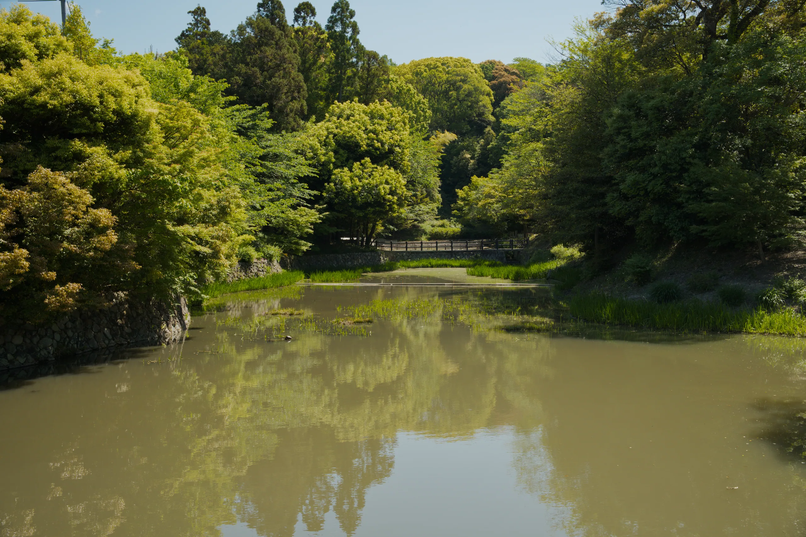 Waterway lined with dense green trees, still water reflecting the canopy above.