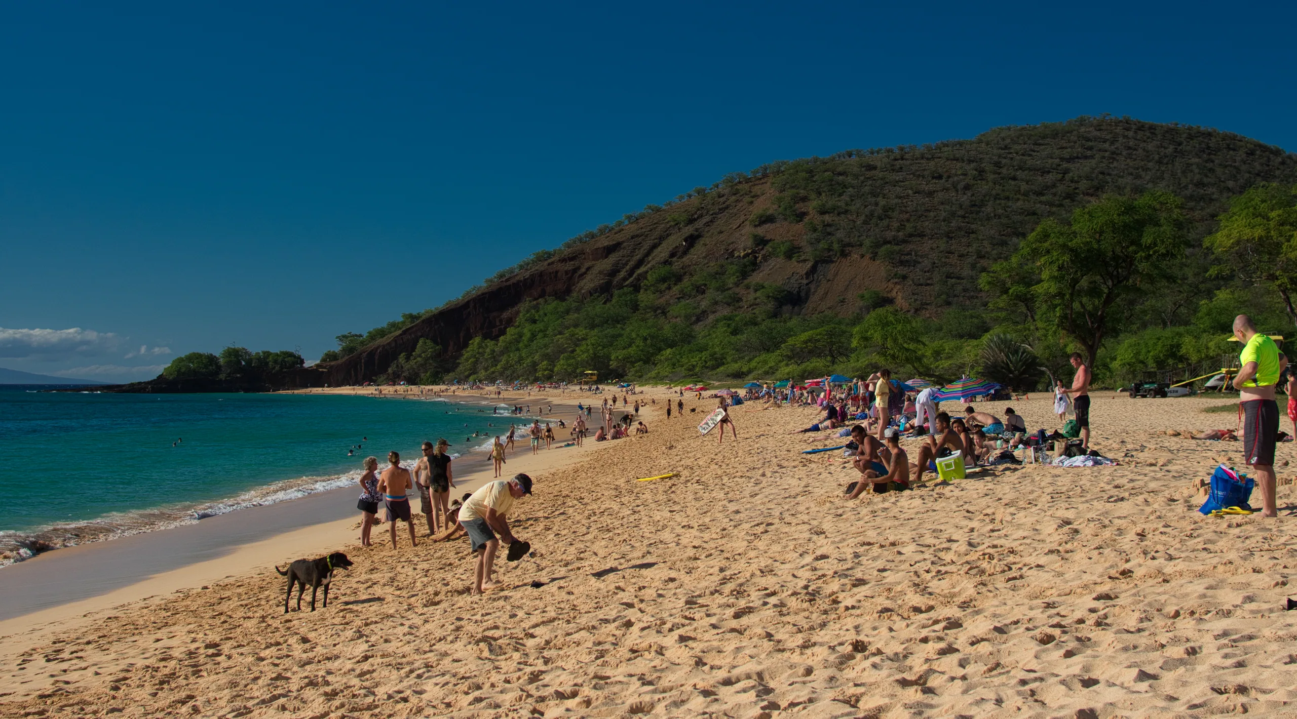 A busy stretch of Makena beach, people spread along the sand and a dog trotting past, with a red cinder cone rising at the far end.