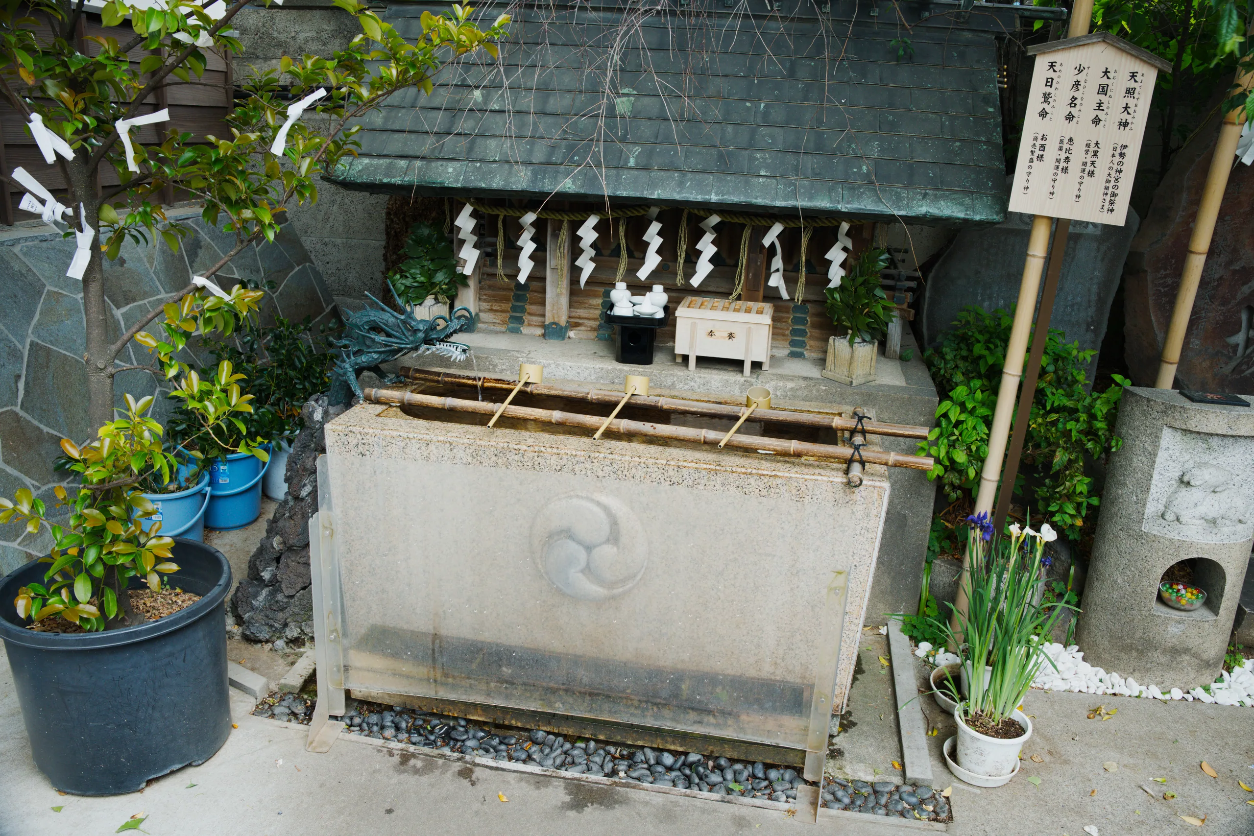 A leafy potted plant in a dark blue container with a Japanese storefront and signage behind it.