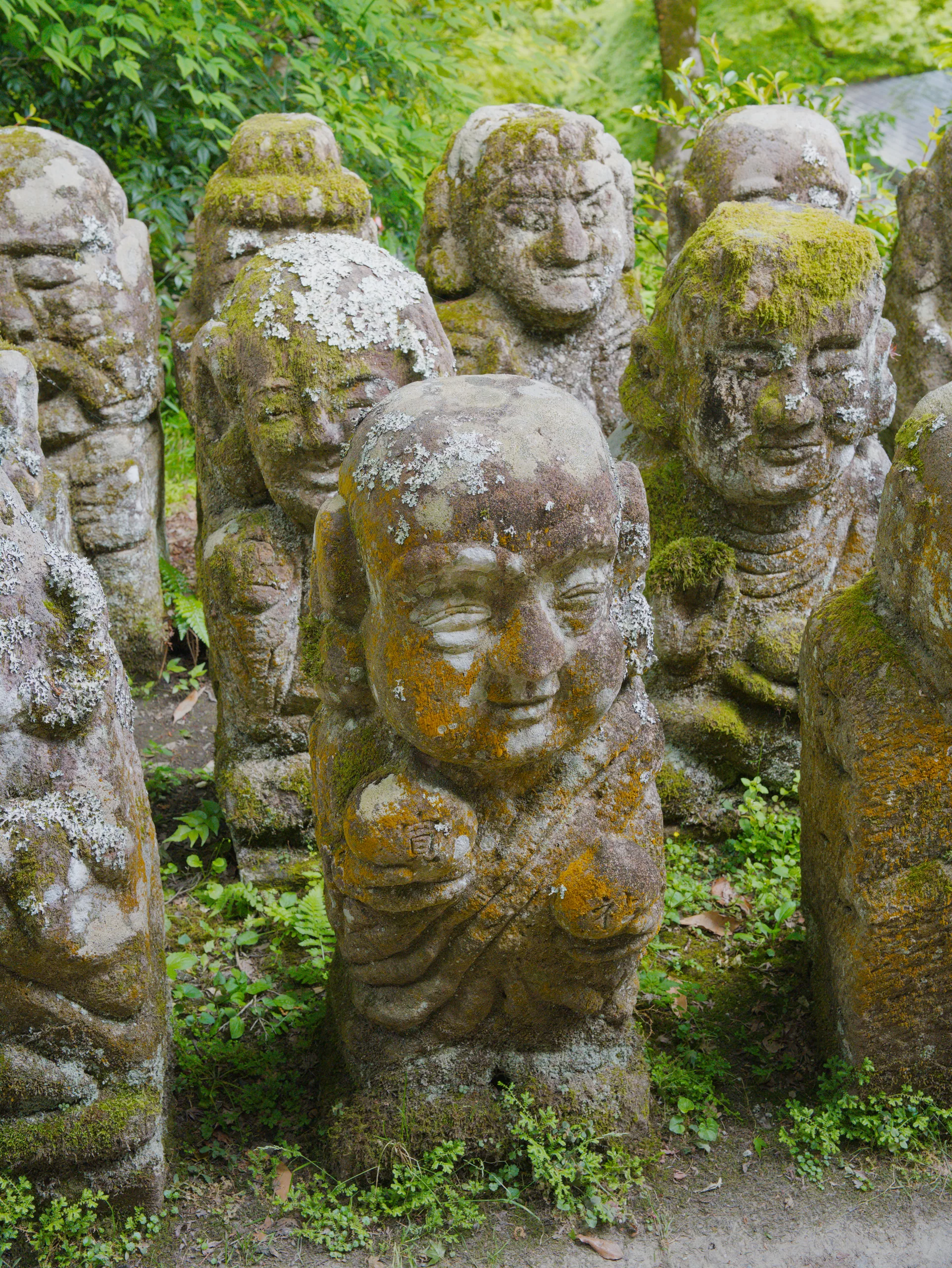 Weathered stone heads of varying sizes fill the frame, layered with moss and lichen.